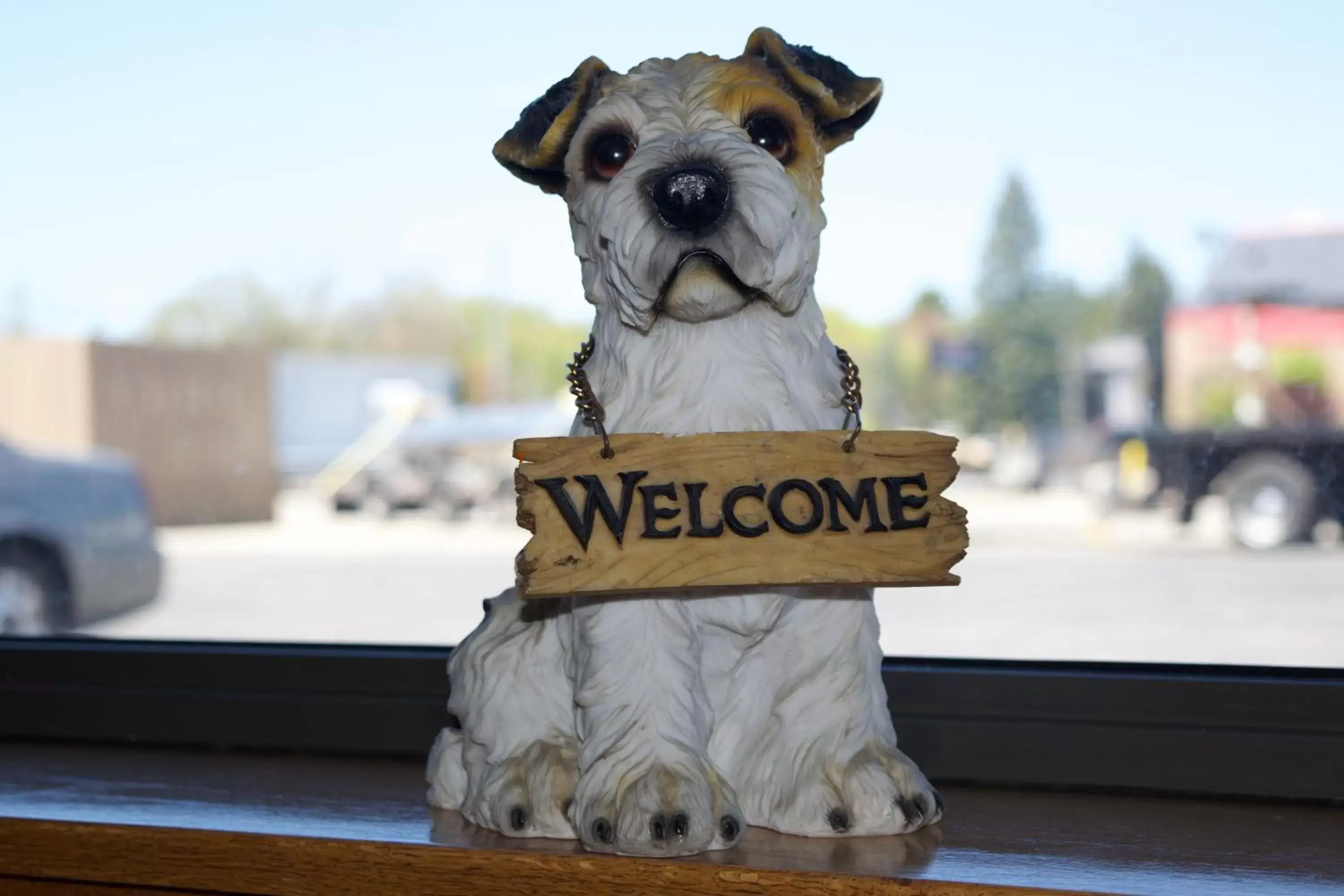 Pets in AmeriVu Inn and Suites Shawano WI