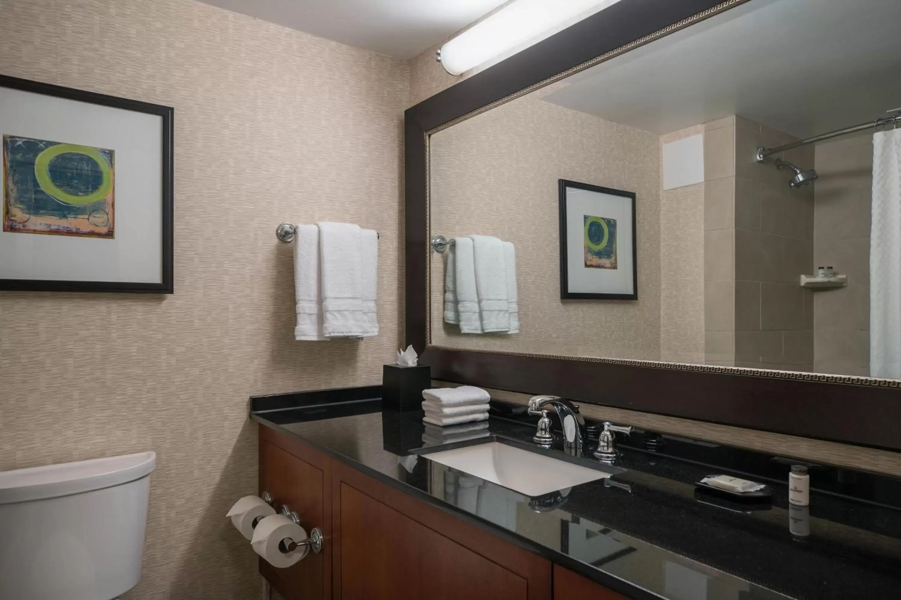 Bathroom in Sheraton Kansas City Hotel at Crown Center