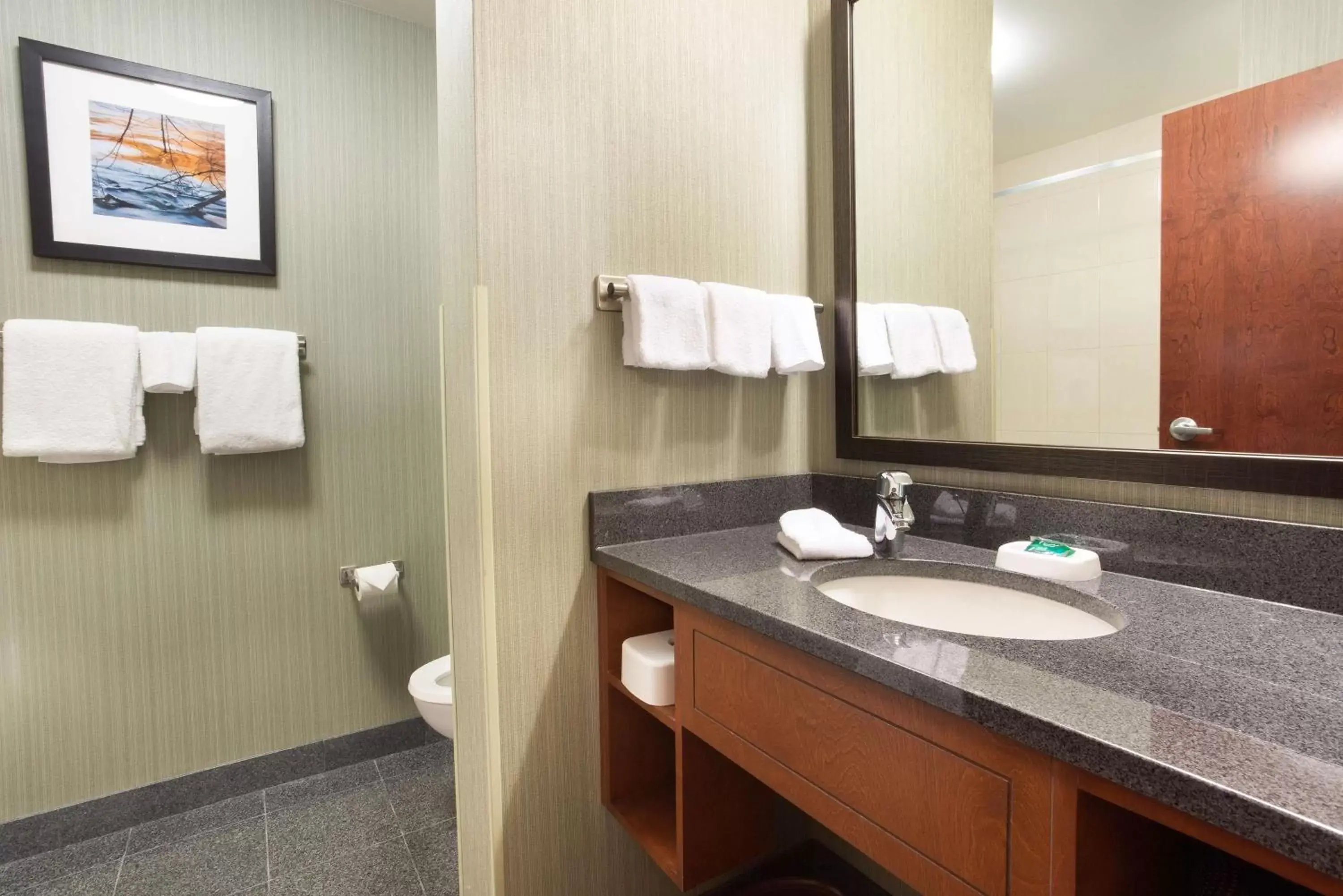 Bathroom in Drury Inn & Suites Grand Rapids