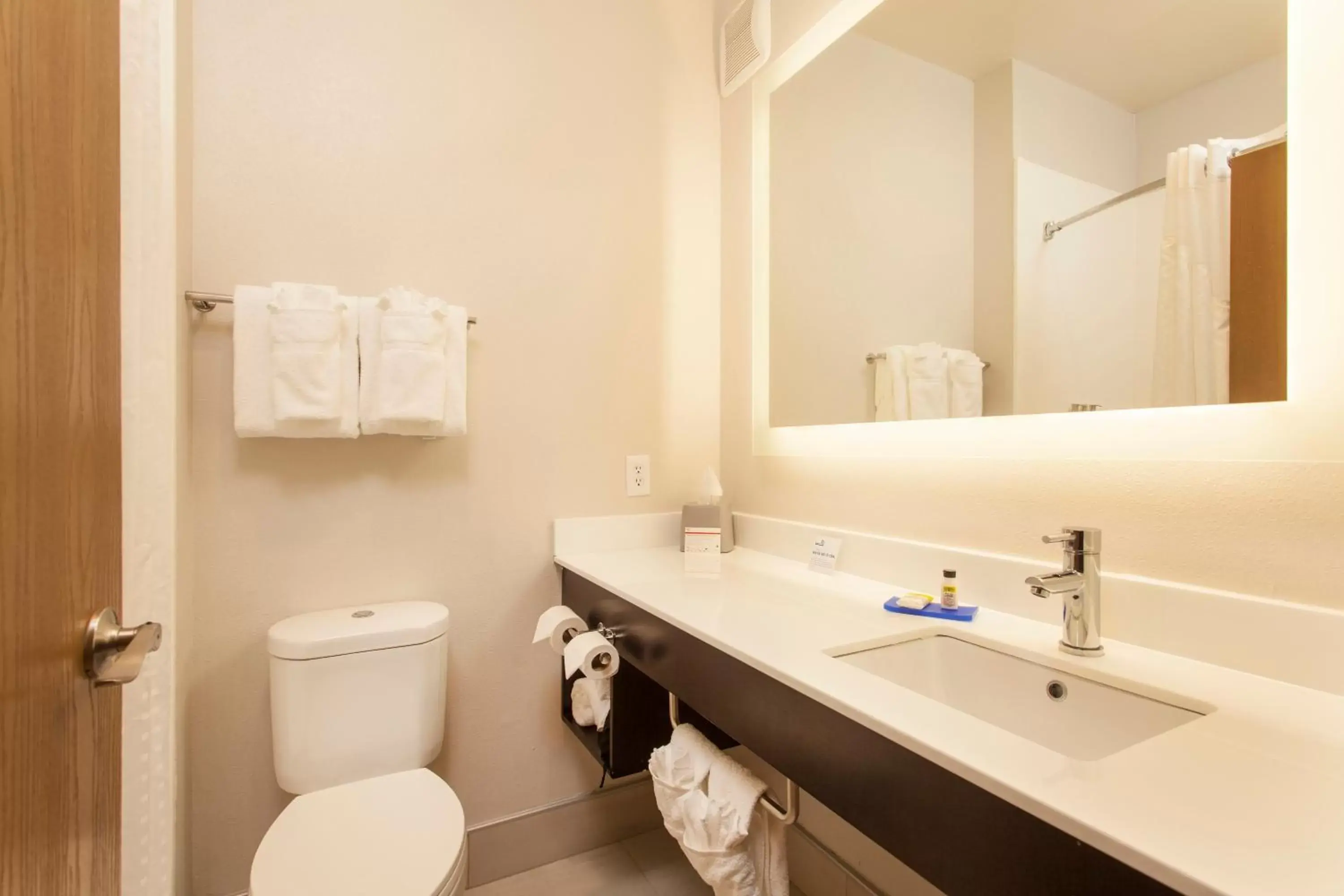 Bathroom in Holiday Inn Express & Suites - Santa Fe, an IHG Hotel
