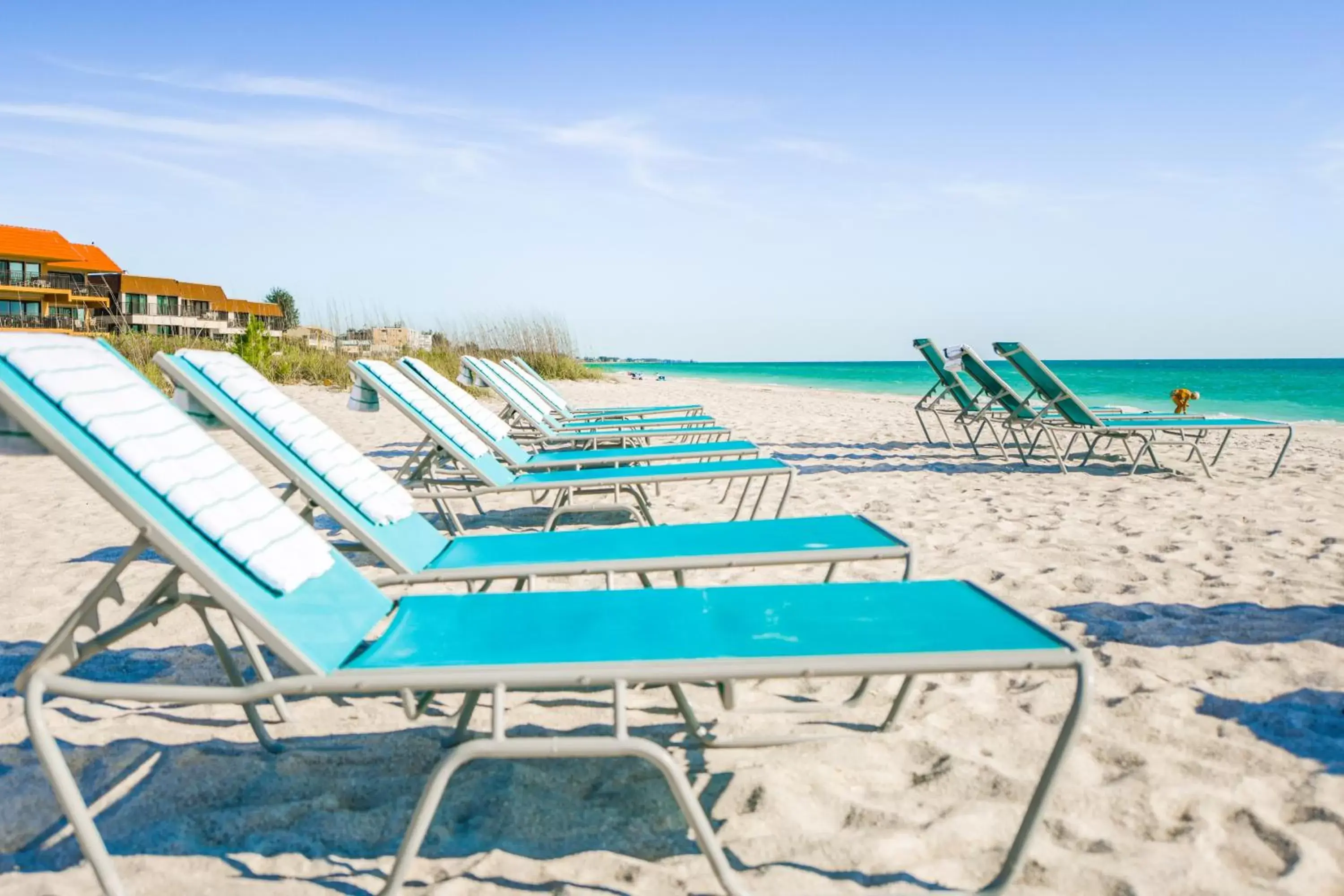 Beach, Swimming Pool in Anna Maria Beach Resort