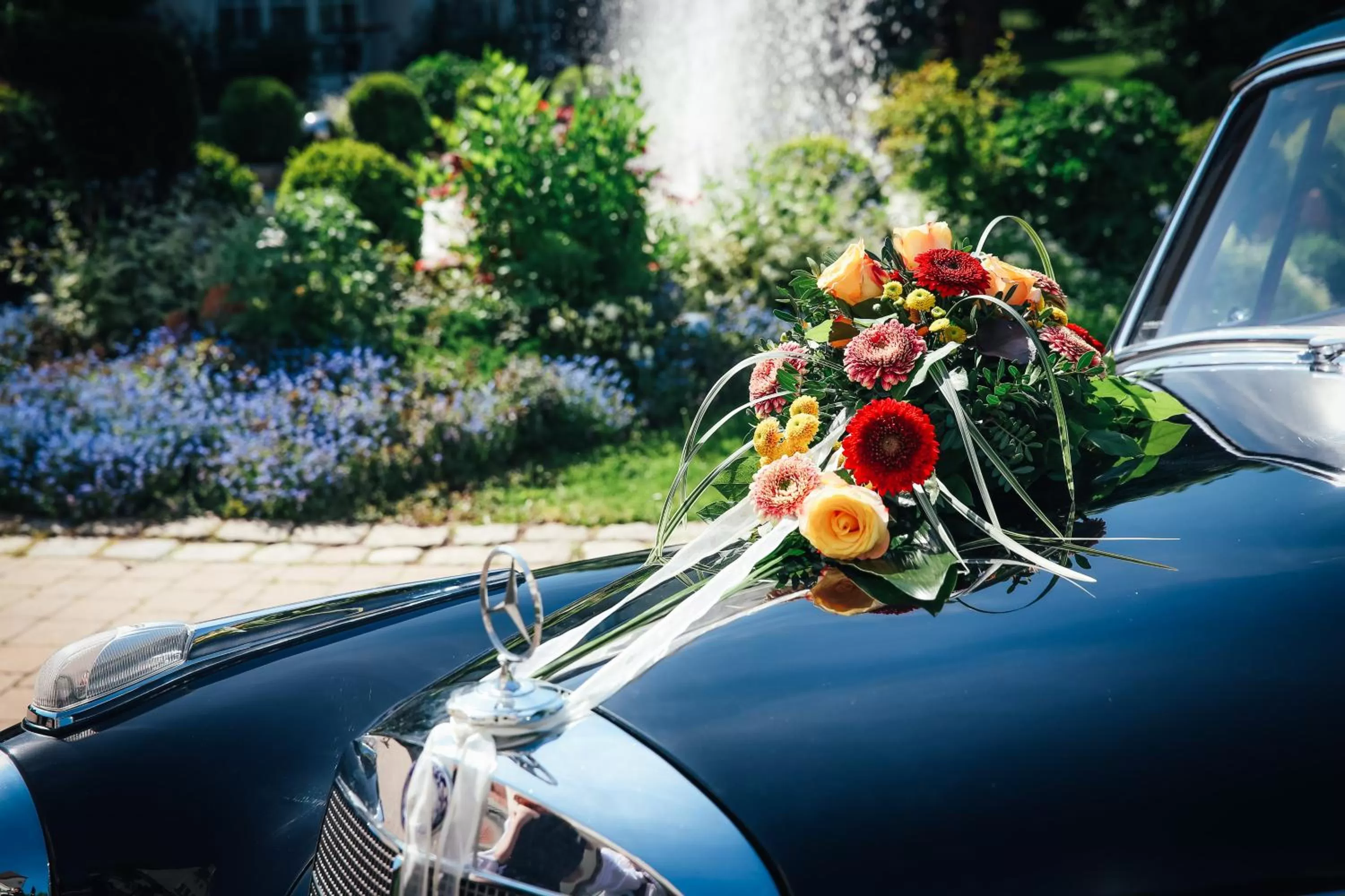 On site in Drahthammer Schlößl