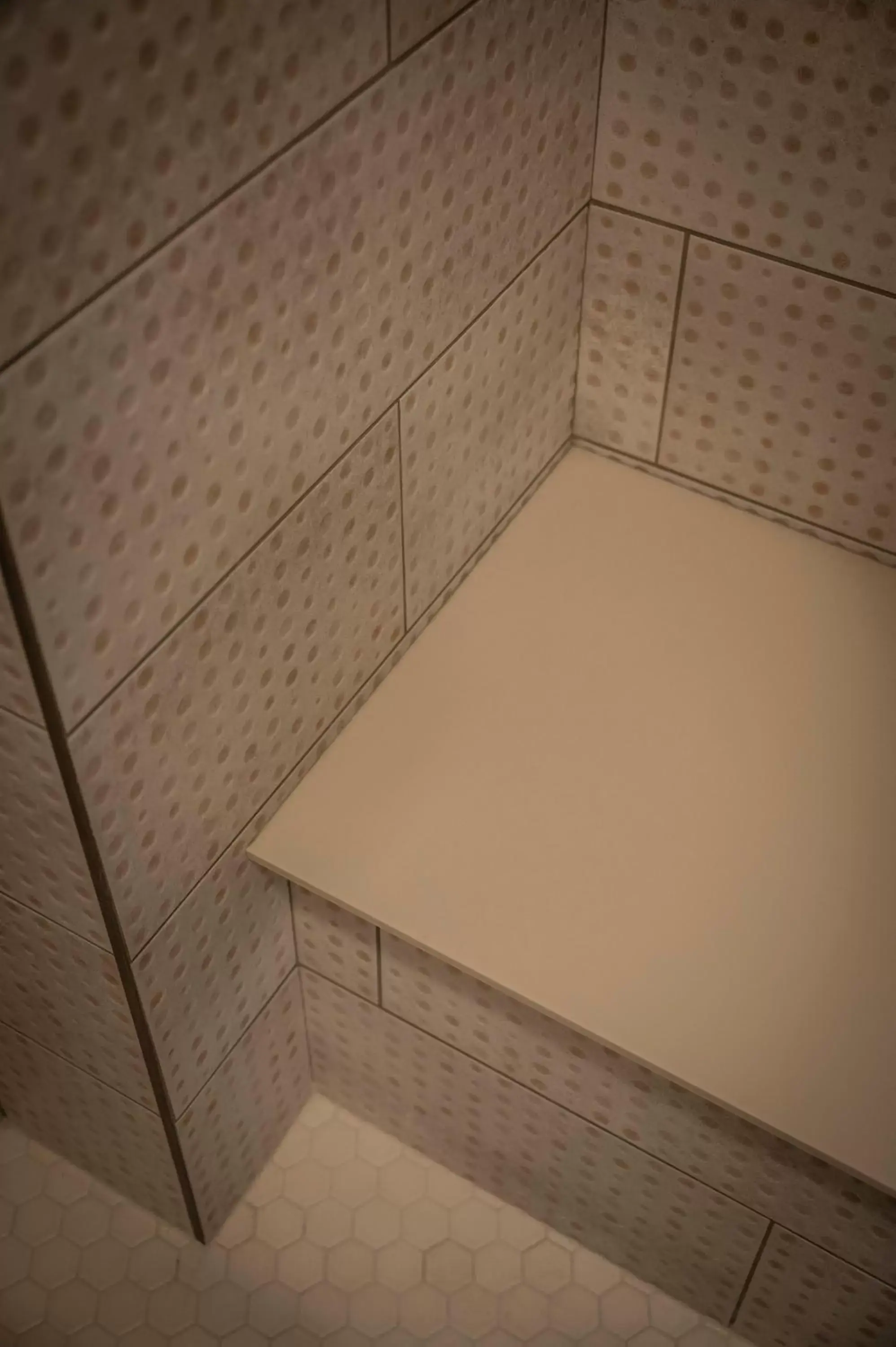 Shower, Bathroom in Hotel Broad Ripple