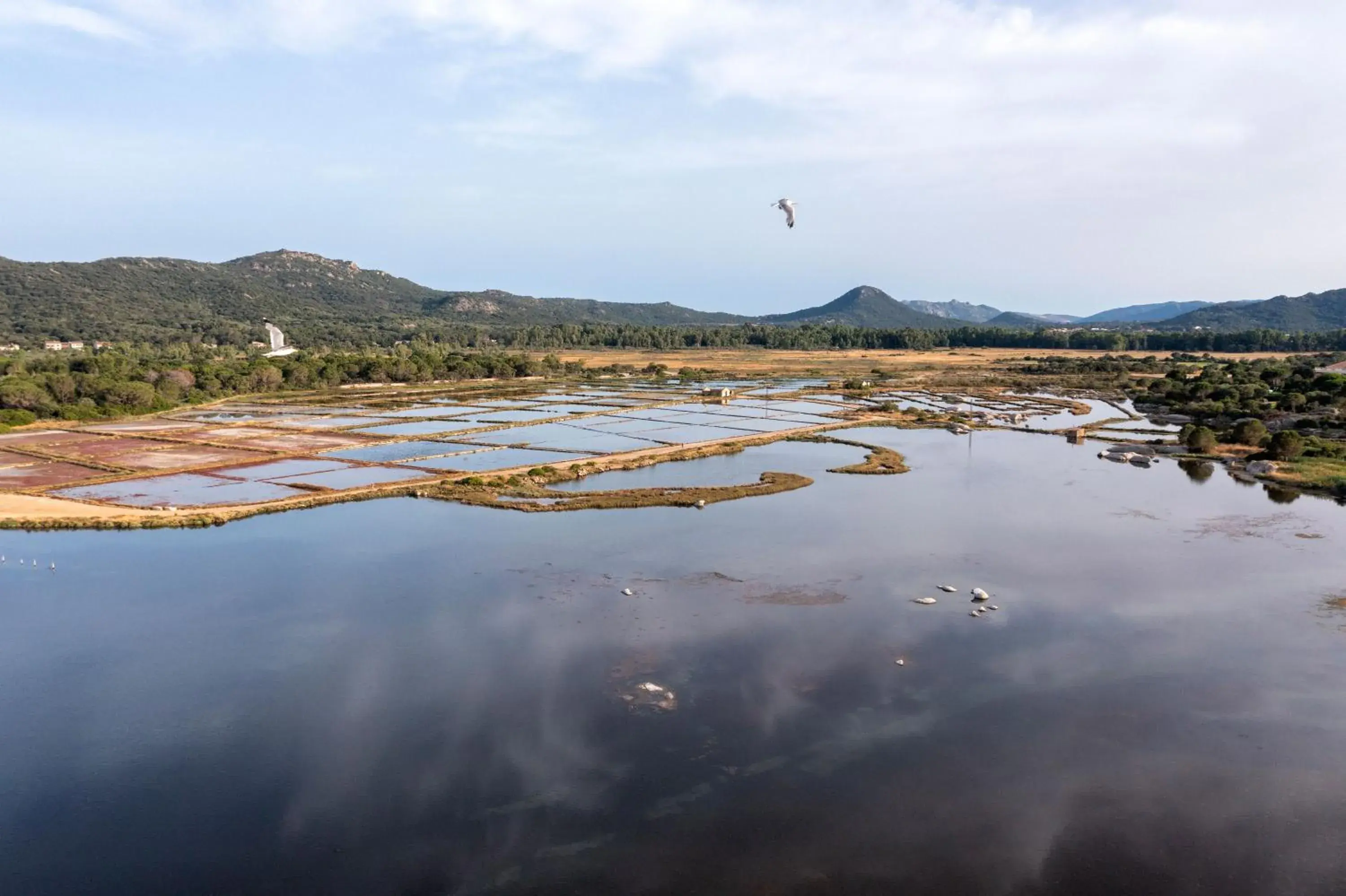 Natural landscape in Hotel Costa Salina