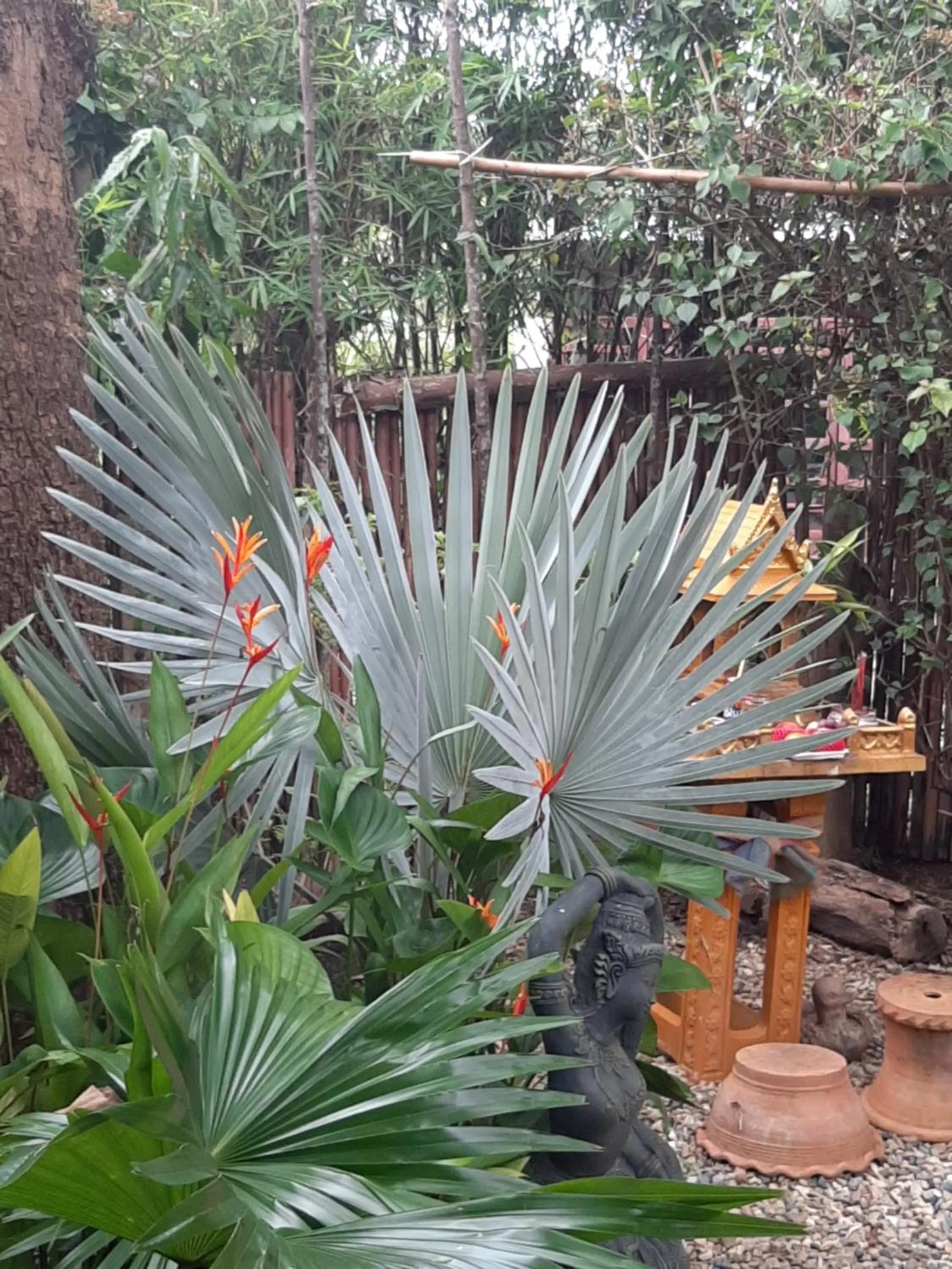 Garden in Liam's Guesthouse Adults Only