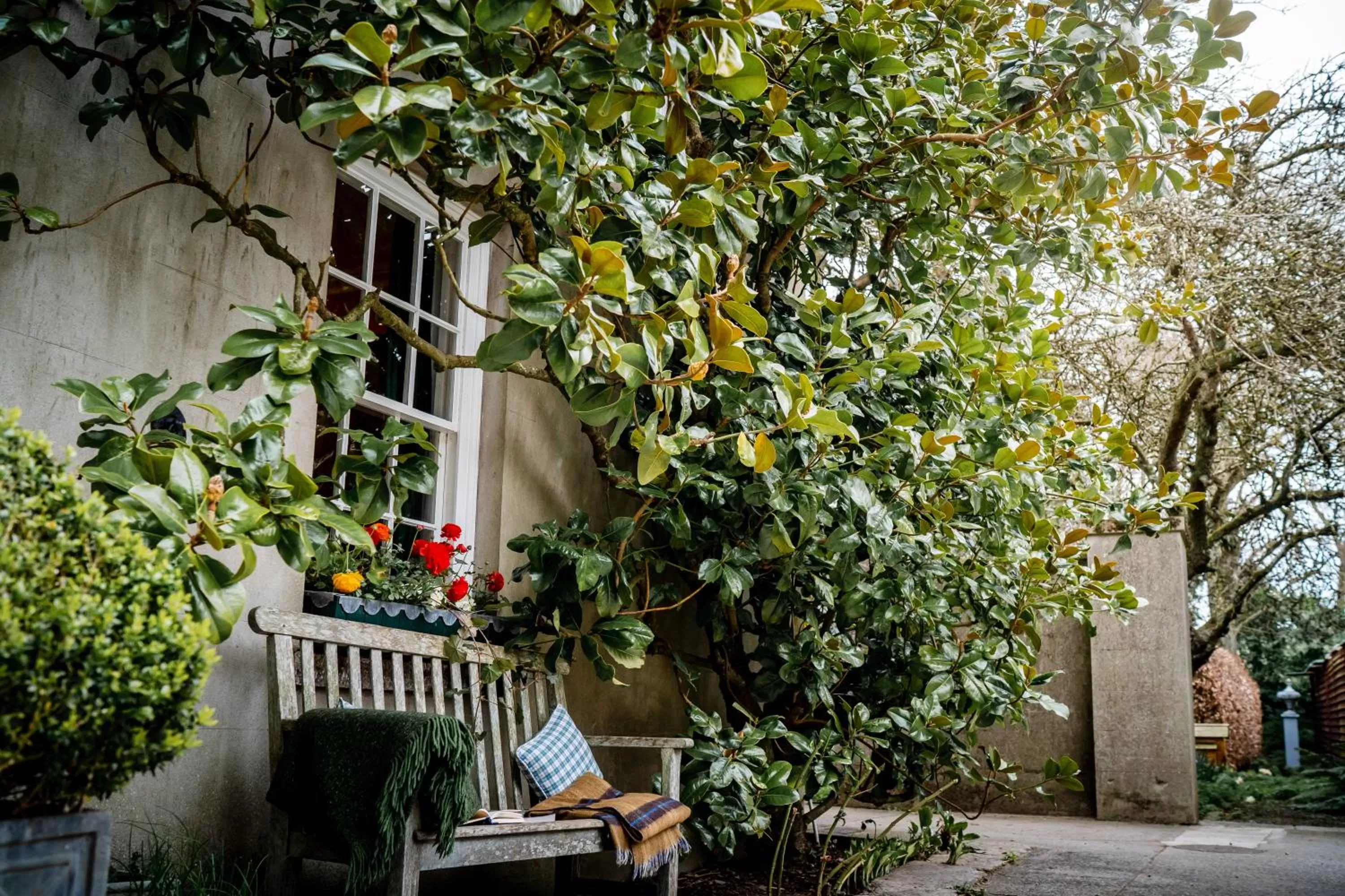 Garden view in Ballymote Country House