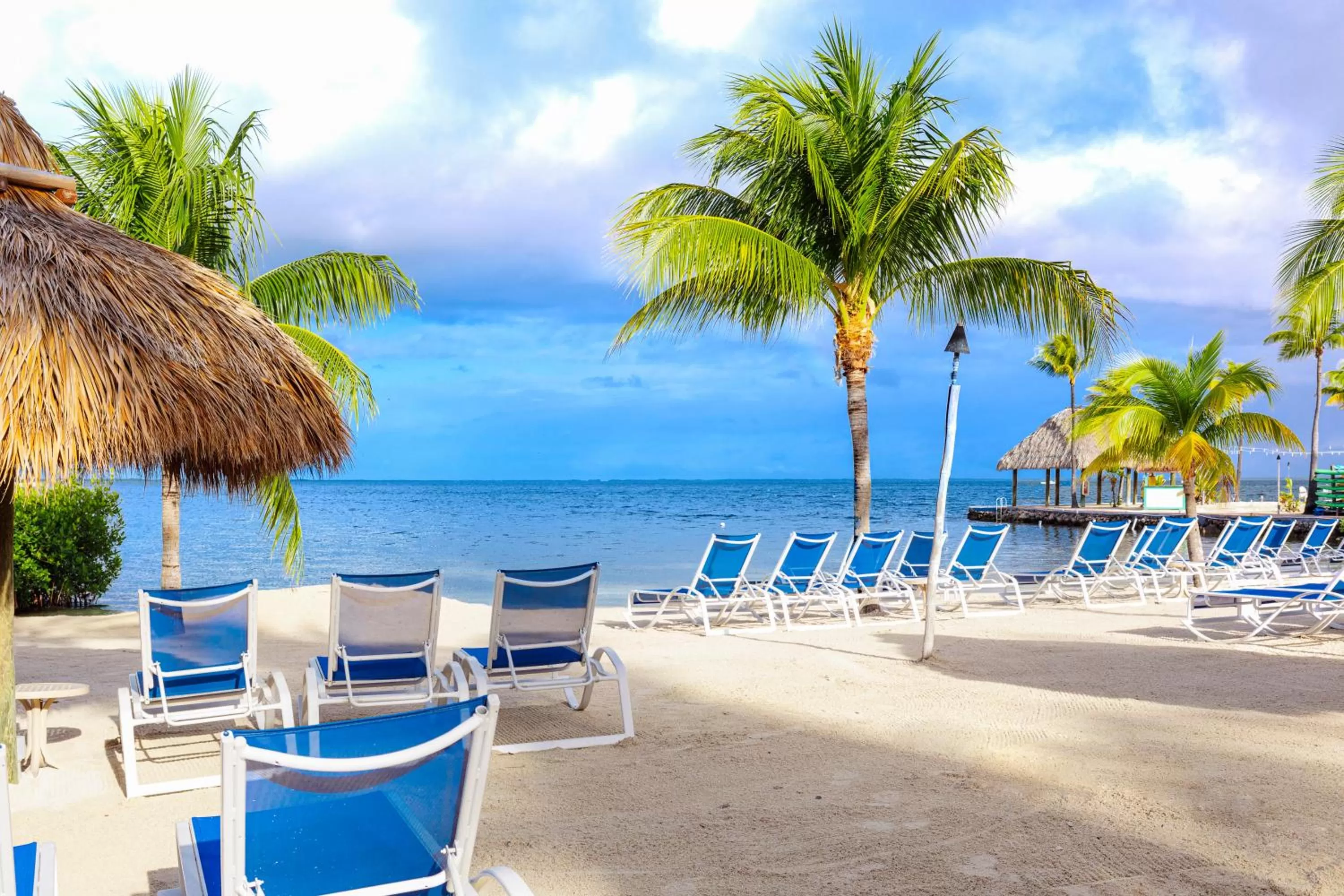 Beach in Reefhouse Resort and Marina