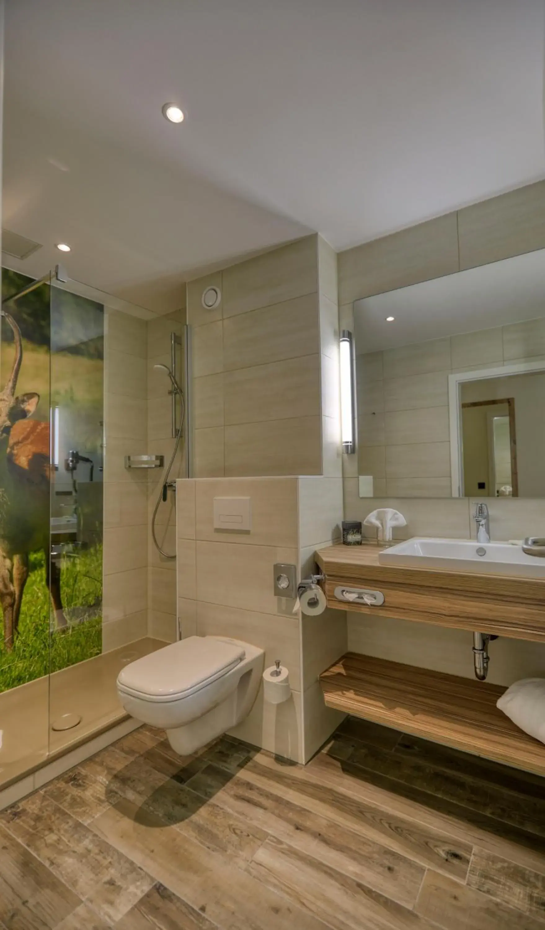 Bathroom in Hotel Gut Schmelmerhof