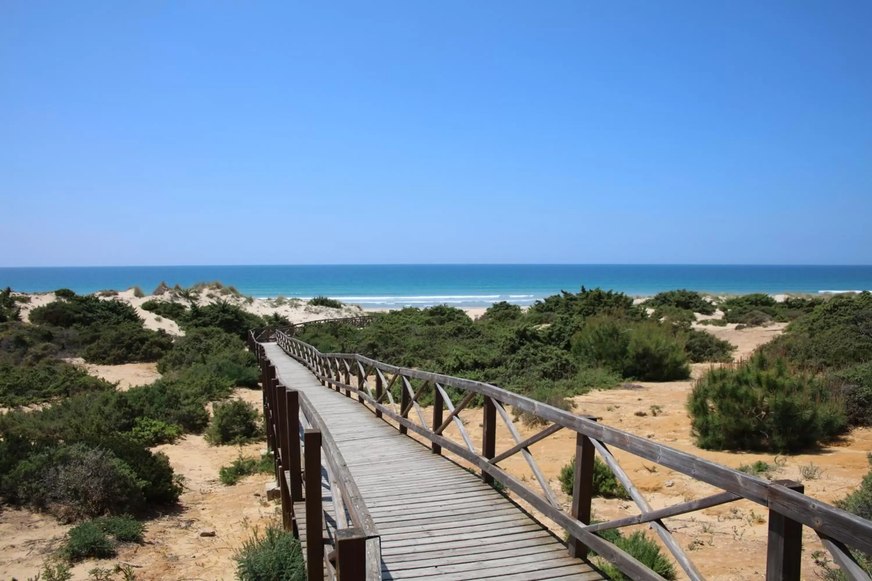 Beach in Iberostar Selection Andalucia Playa