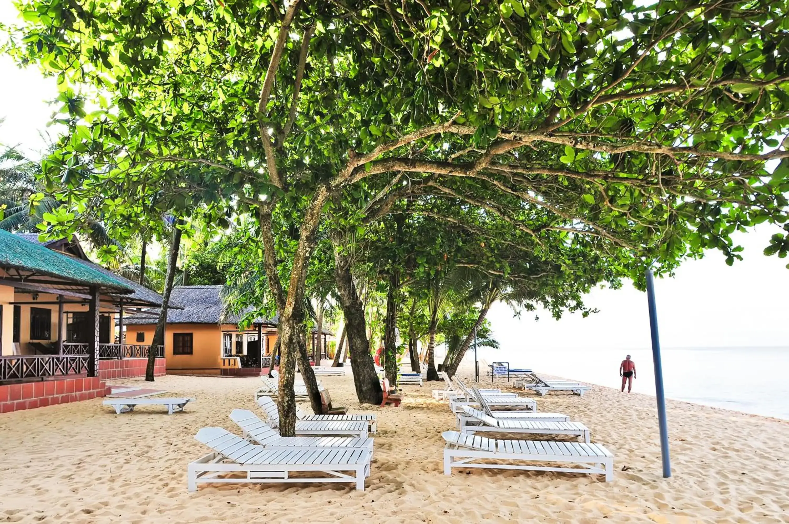 Sea view, Beach in Sea Star Resort