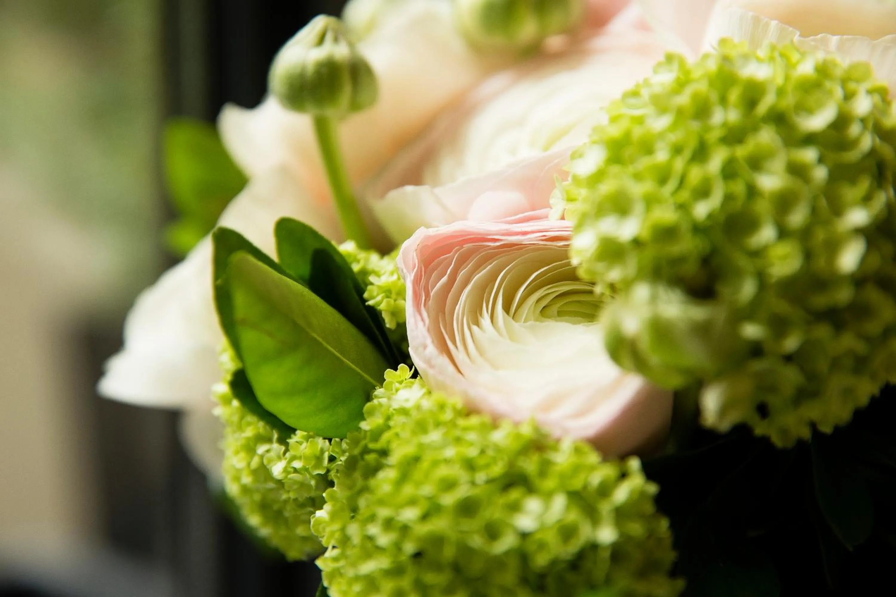 Decorative detail in Hôtel Molière