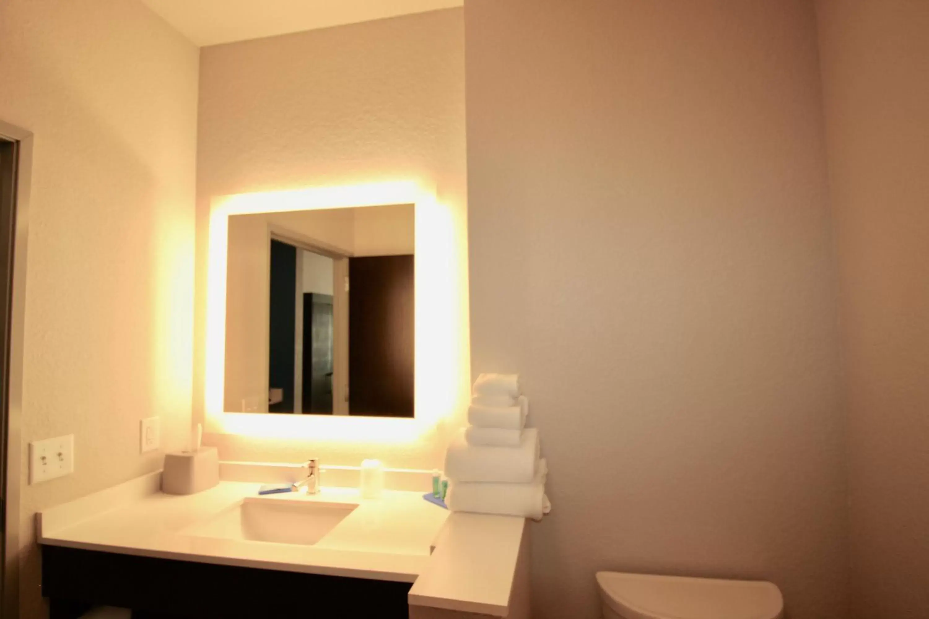 Bathroom in Holiday Inn Express & Suites - Kirksville - University Area, an IHG Hotel