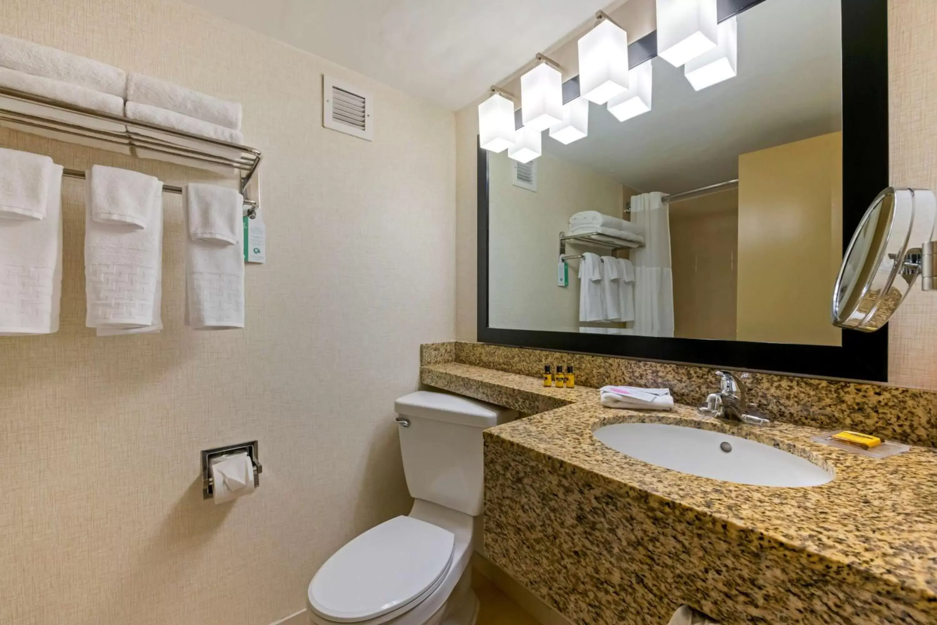 Bathroom in Best Western Plus North Miami-Bal Harbour