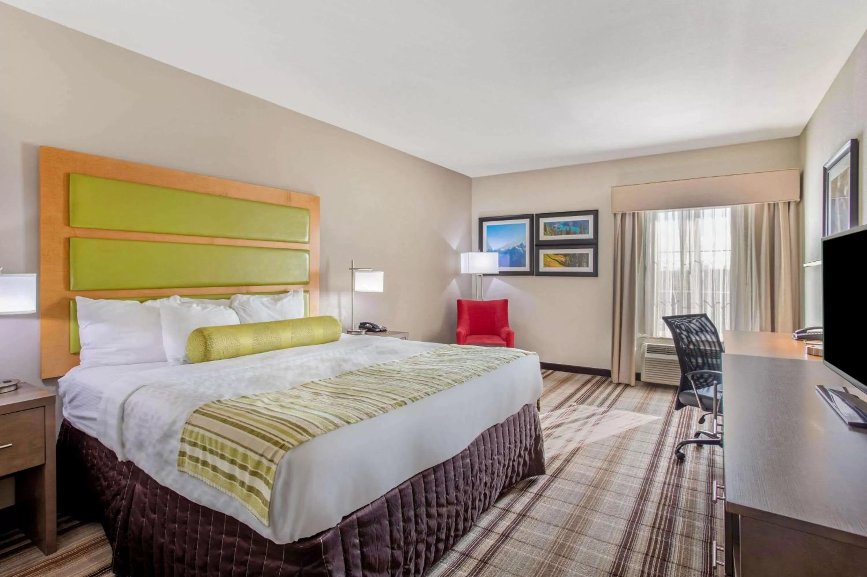 Photo of the whole room, Bed in La Quinta by Wyndham Paducah