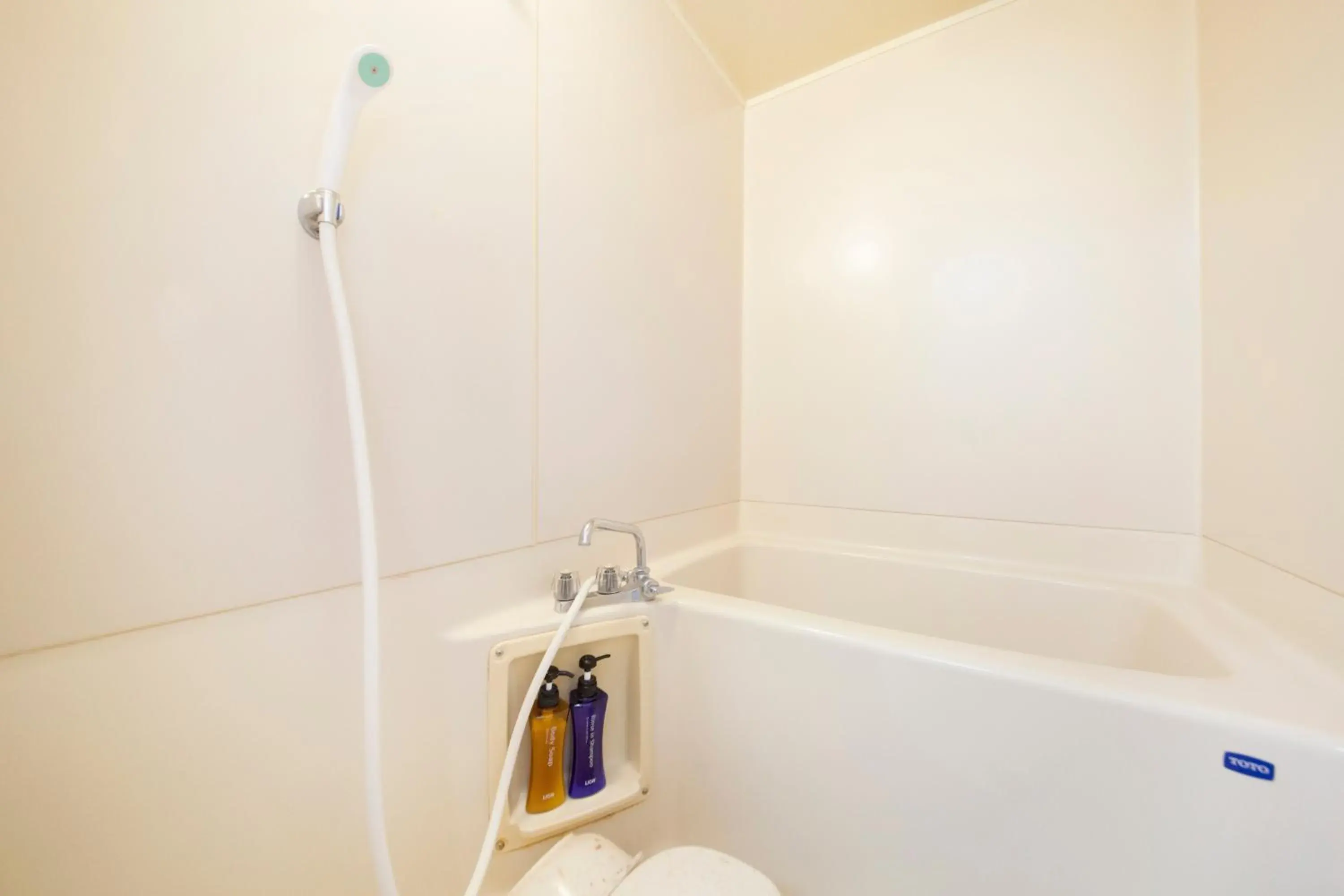 Bathroom in Fujinomiya Green Hotel