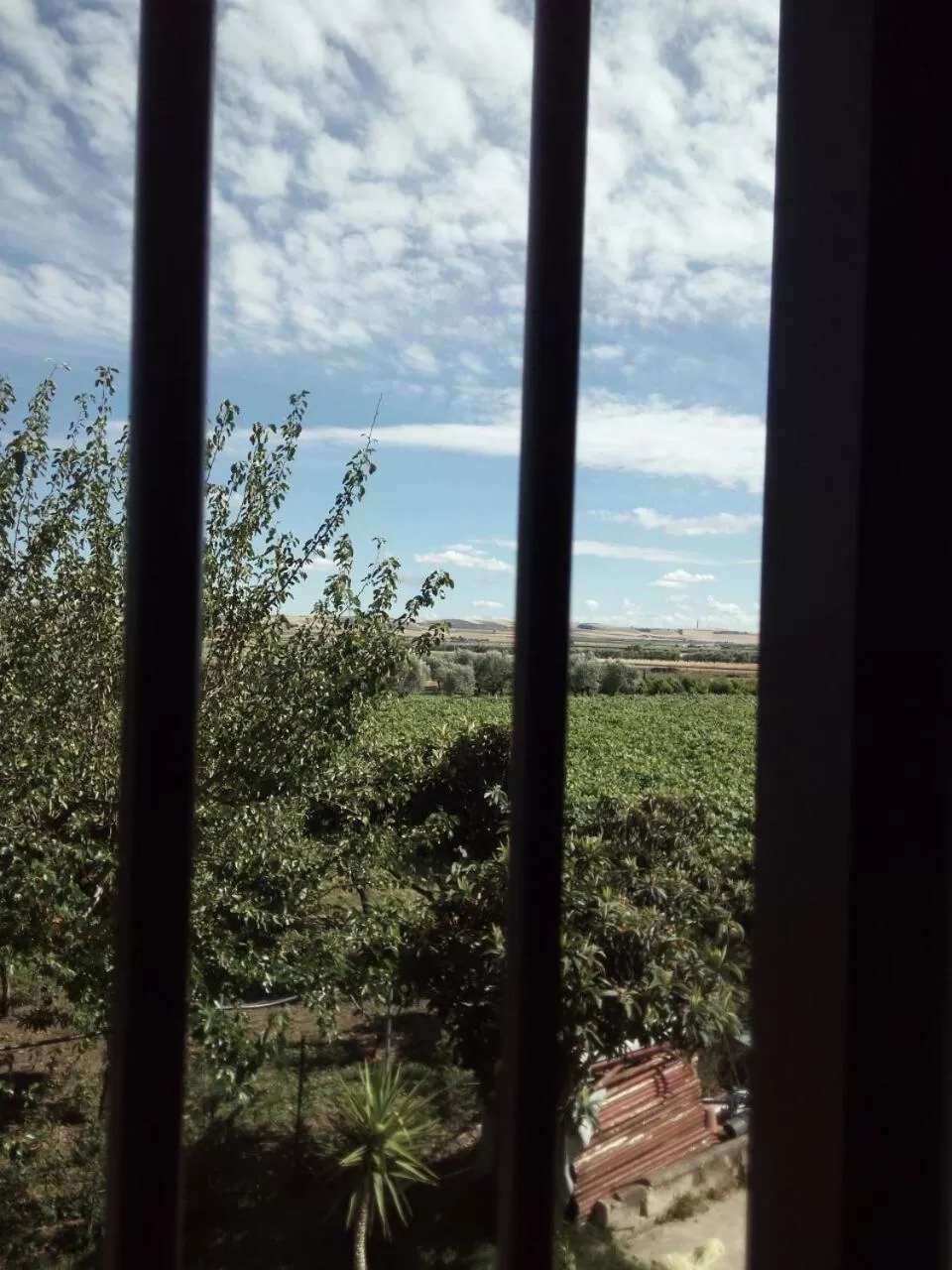 Street view in B&B Posta Piana