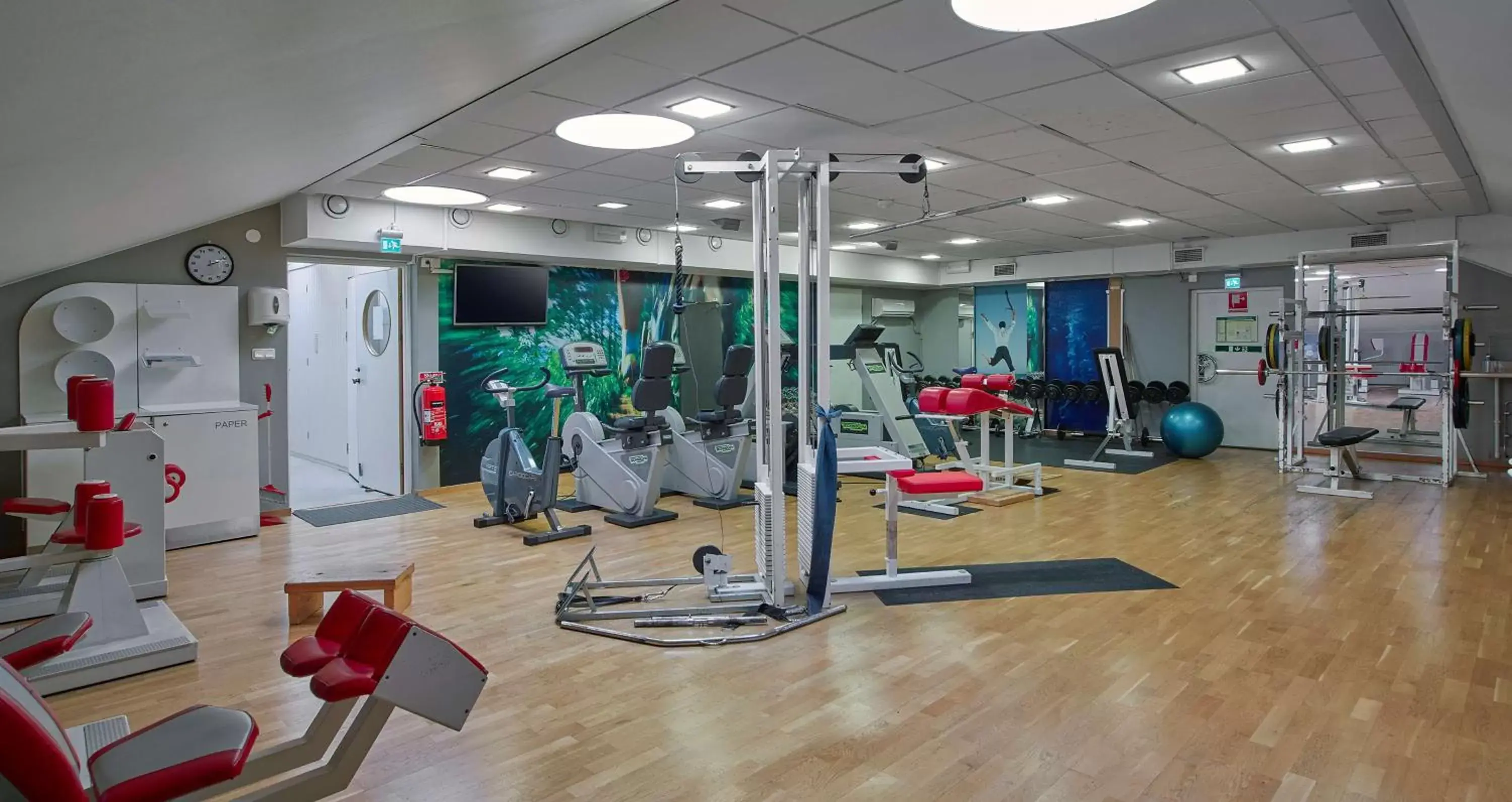 Activities, Fitness Center/Facilities in Scandic CH