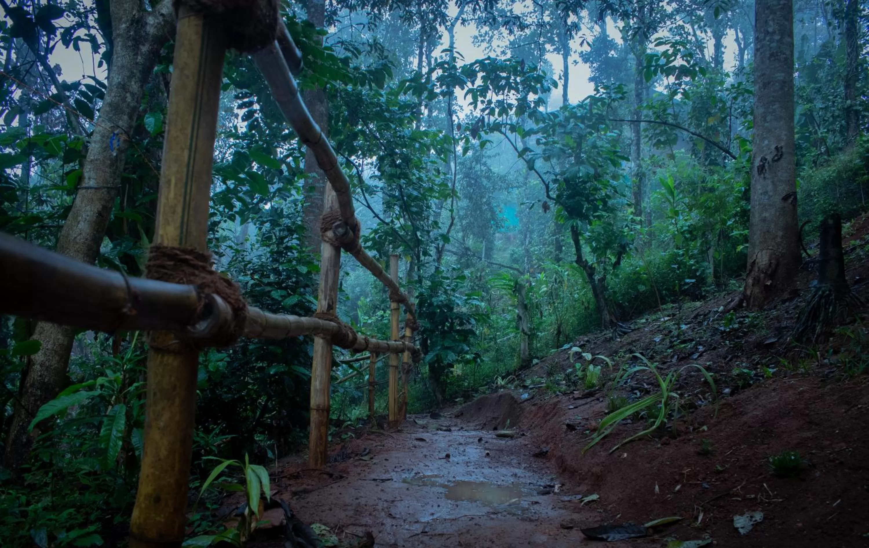 Natural landscape, Other Animals in Edens Munnar