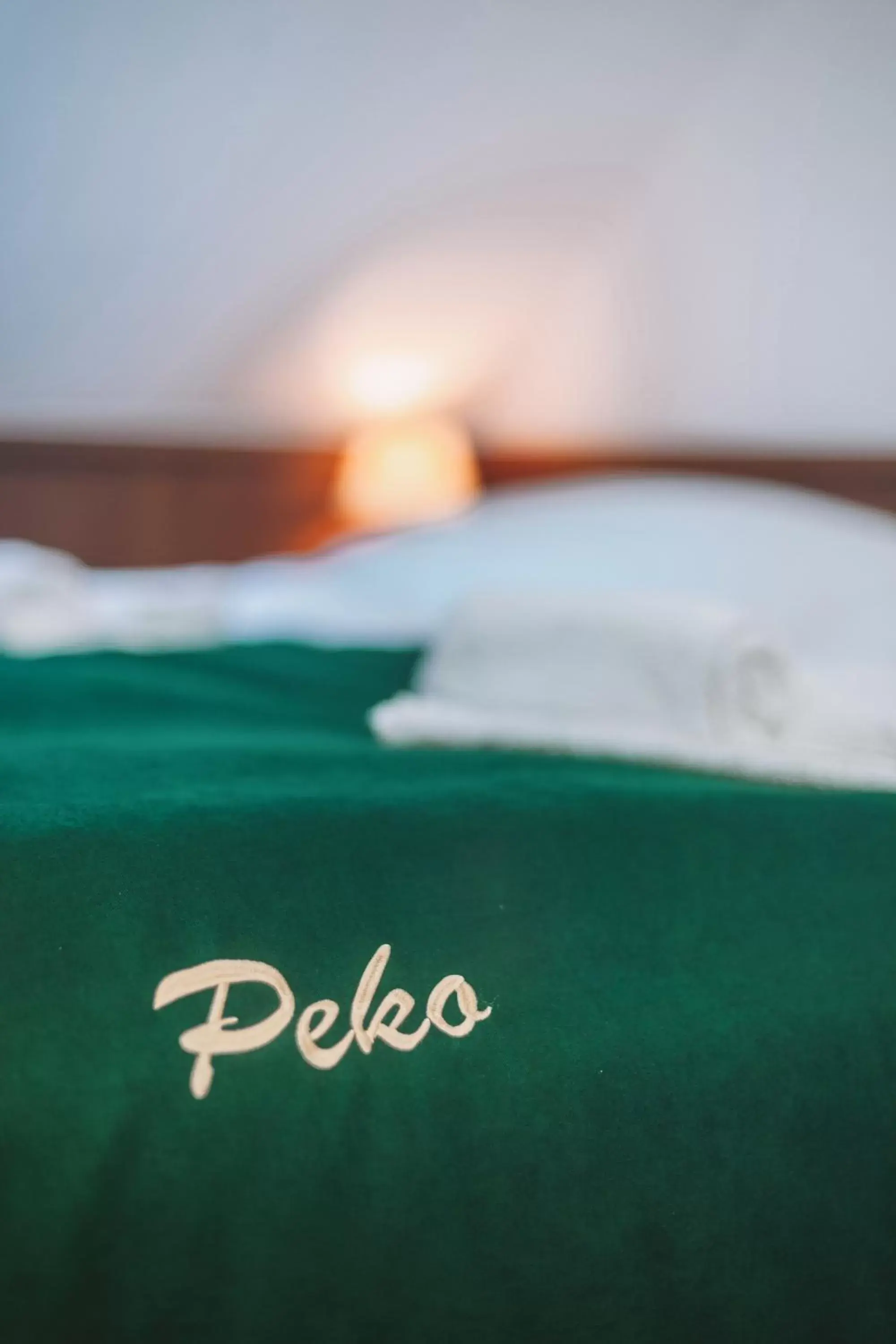 Decorative detail, Bed in Hotel Peko