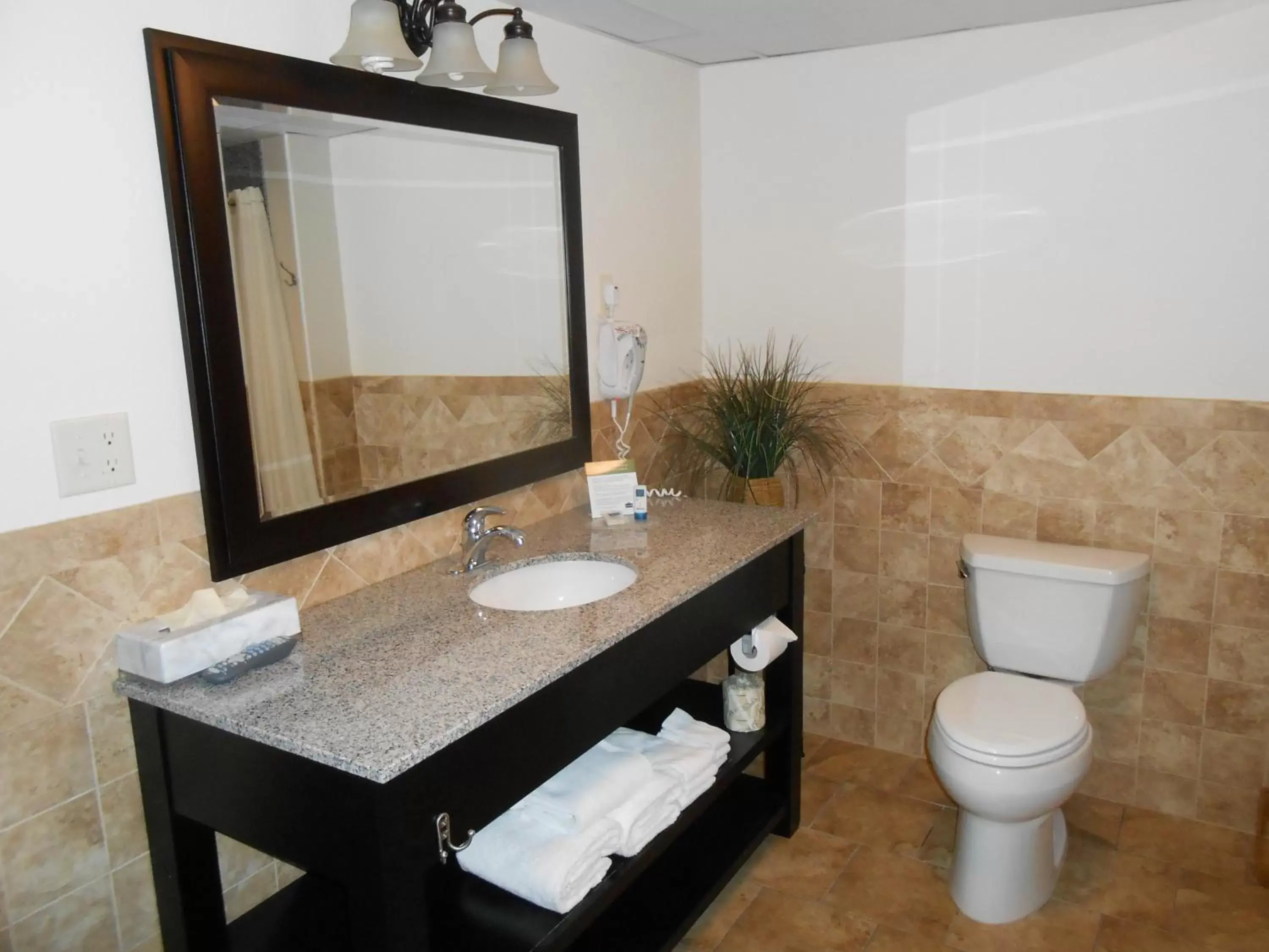 Toilet, Bathroom in AmericInn by Wyndham McAlester