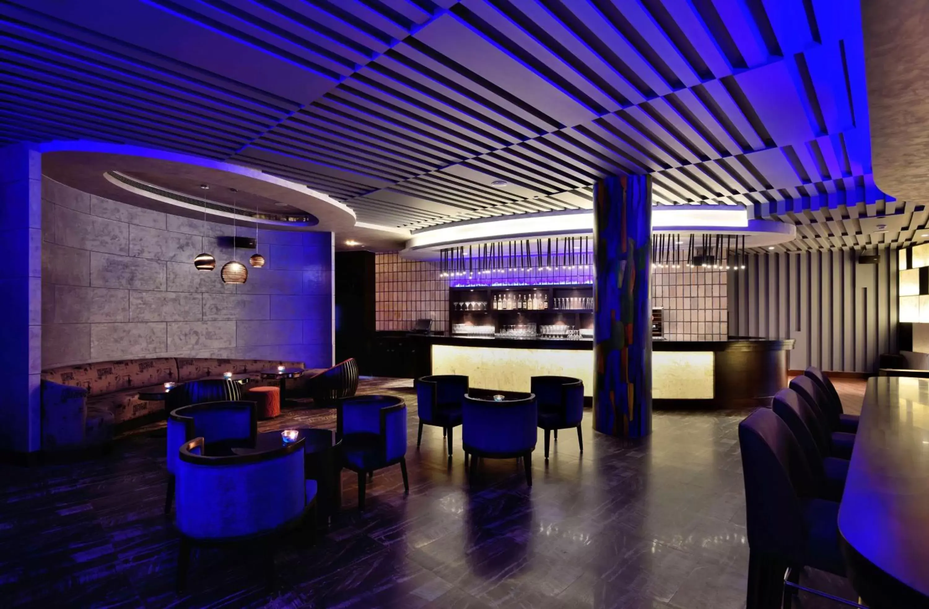 Lounge or bar, Lounge/Bar in Radisson Blu Plaza Resort & Convention Centre Karjat