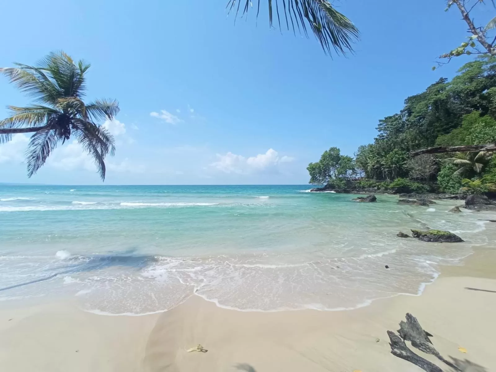 La Luciernaga Big Creek