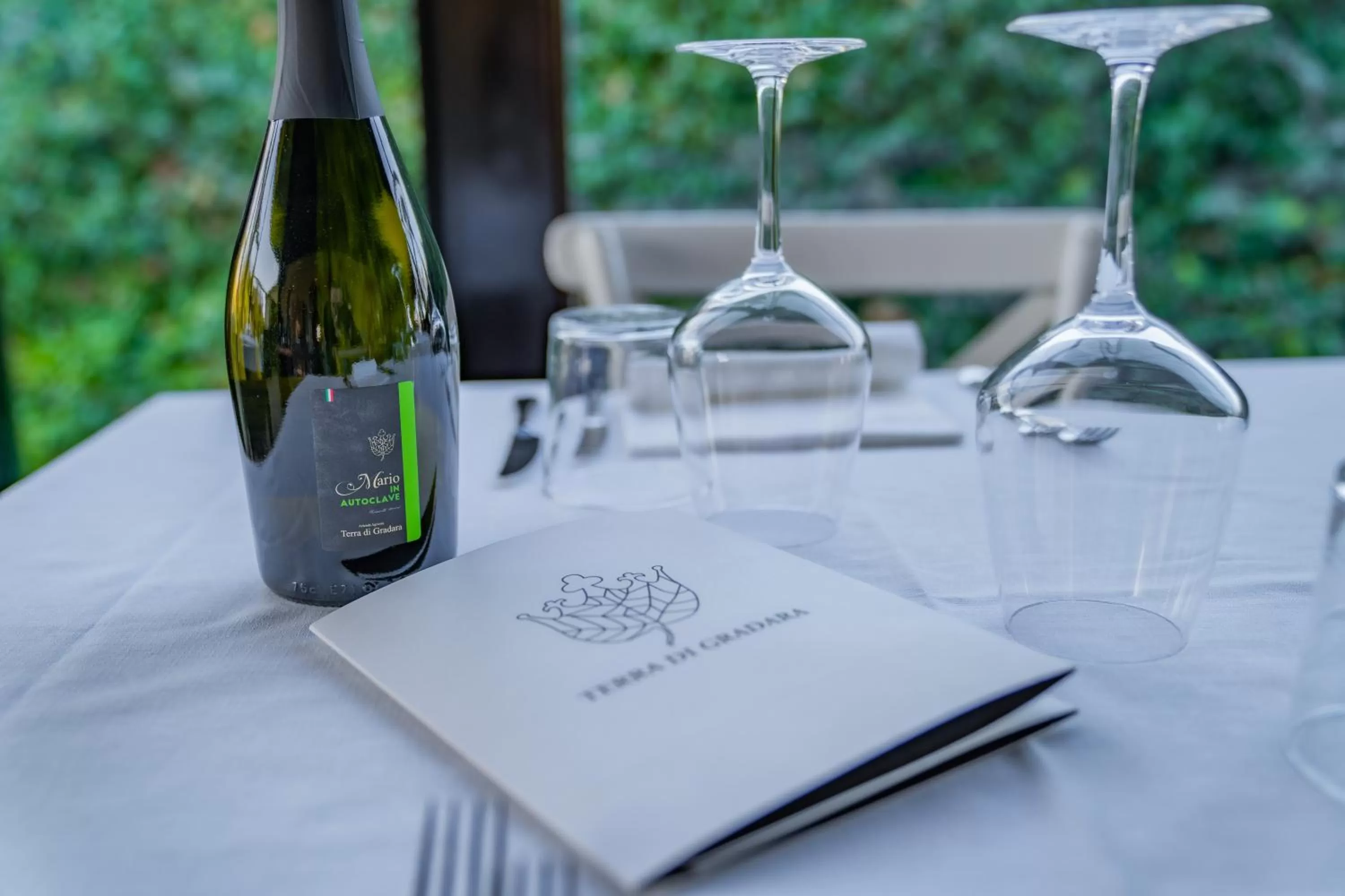 Restaurant/places to eat in Terra di Gradara