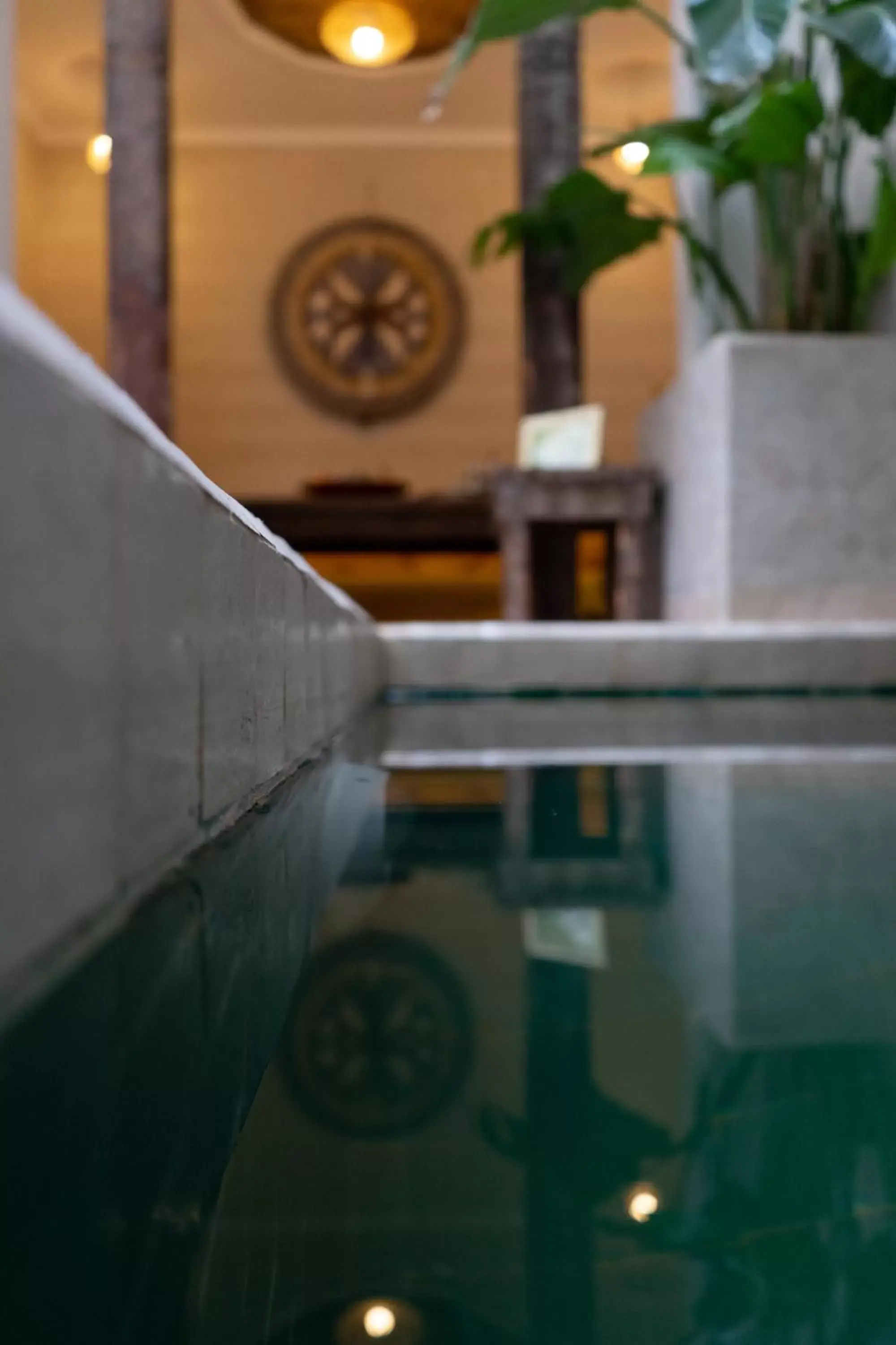 Swimming pool in Riad Beata Bed & Breakfast Swimming pool in Riad Beata Bed & Breakfast