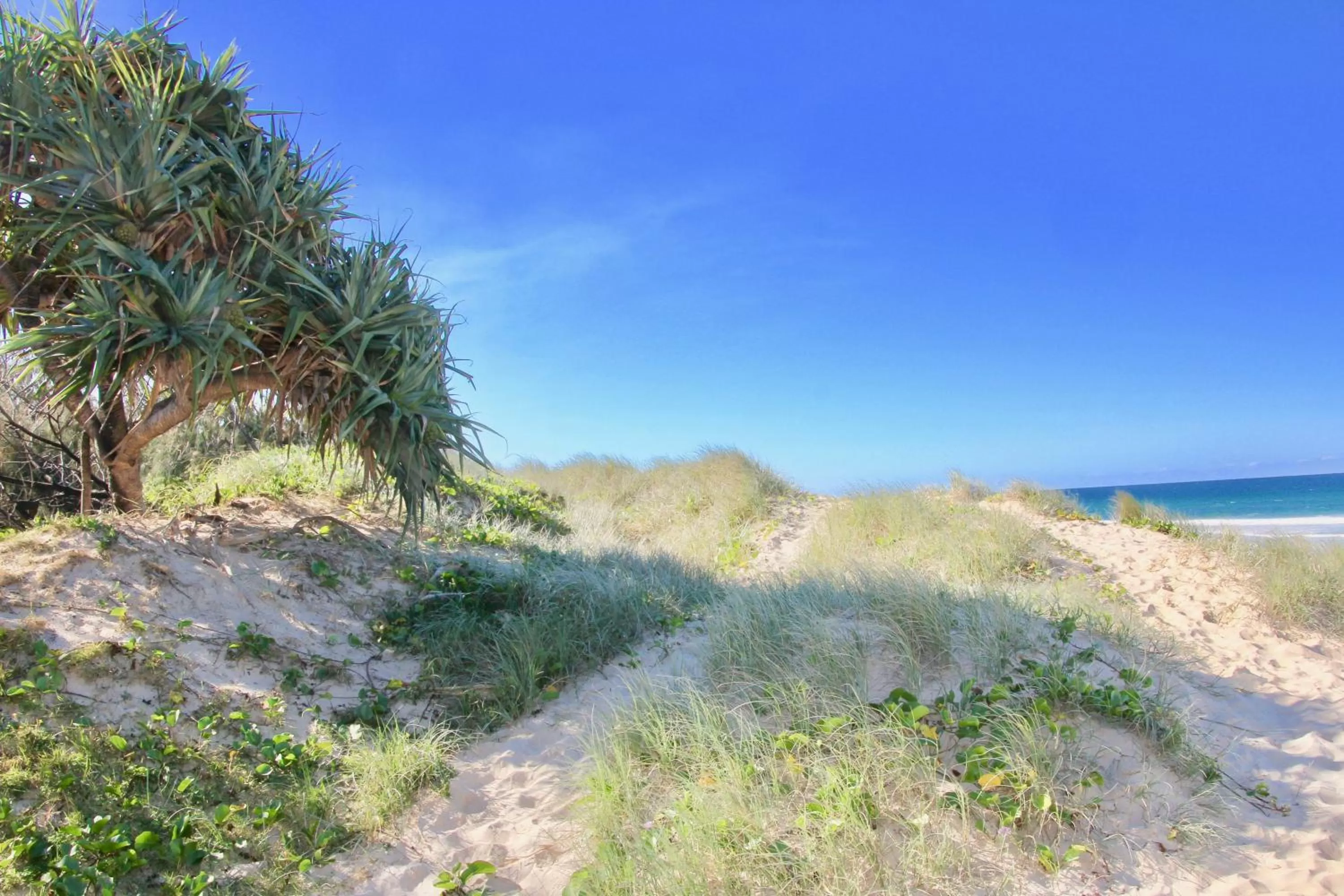 Beach in Hideaway Noosa Men Only Beach Resort