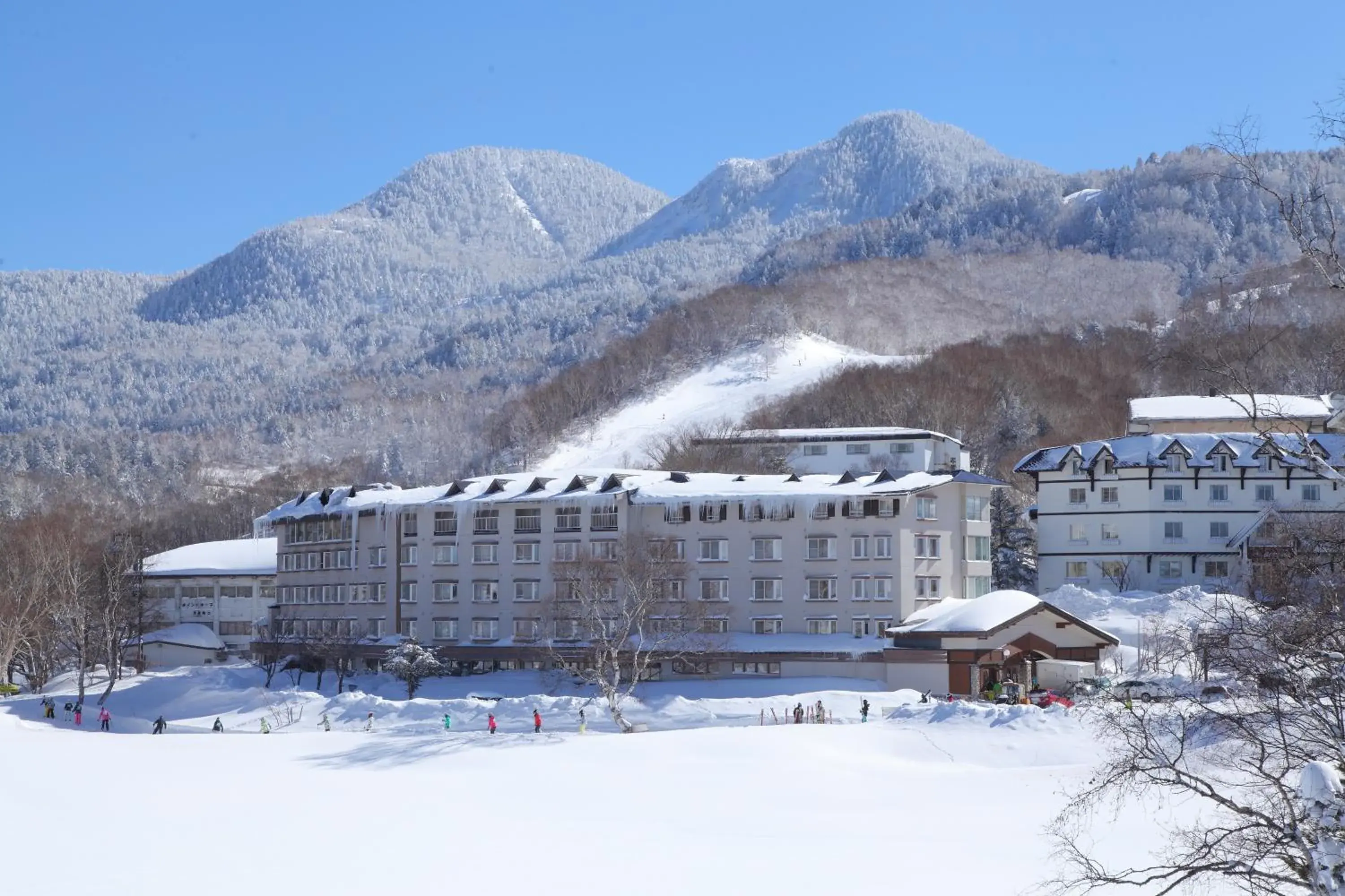 Winter in Shiga Lake Hotel