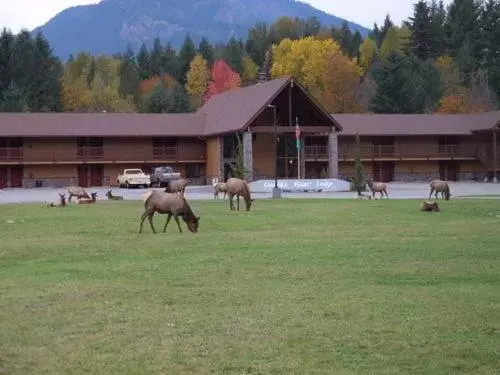 Property building, Other Animals in Cowlitz River Lodge