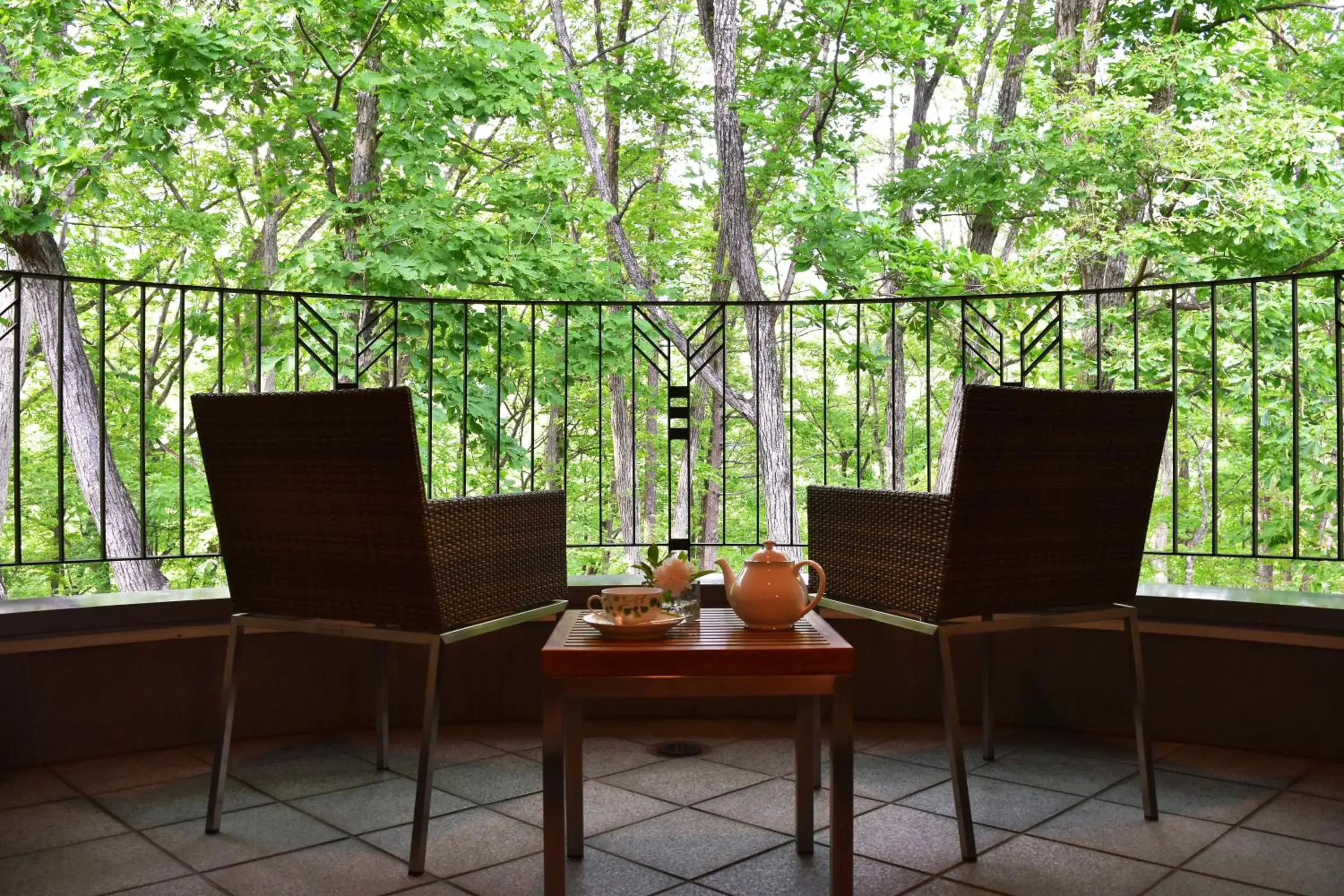 Balcony/Terrace in Hakuba Resort Hotel La Neige Higashikan