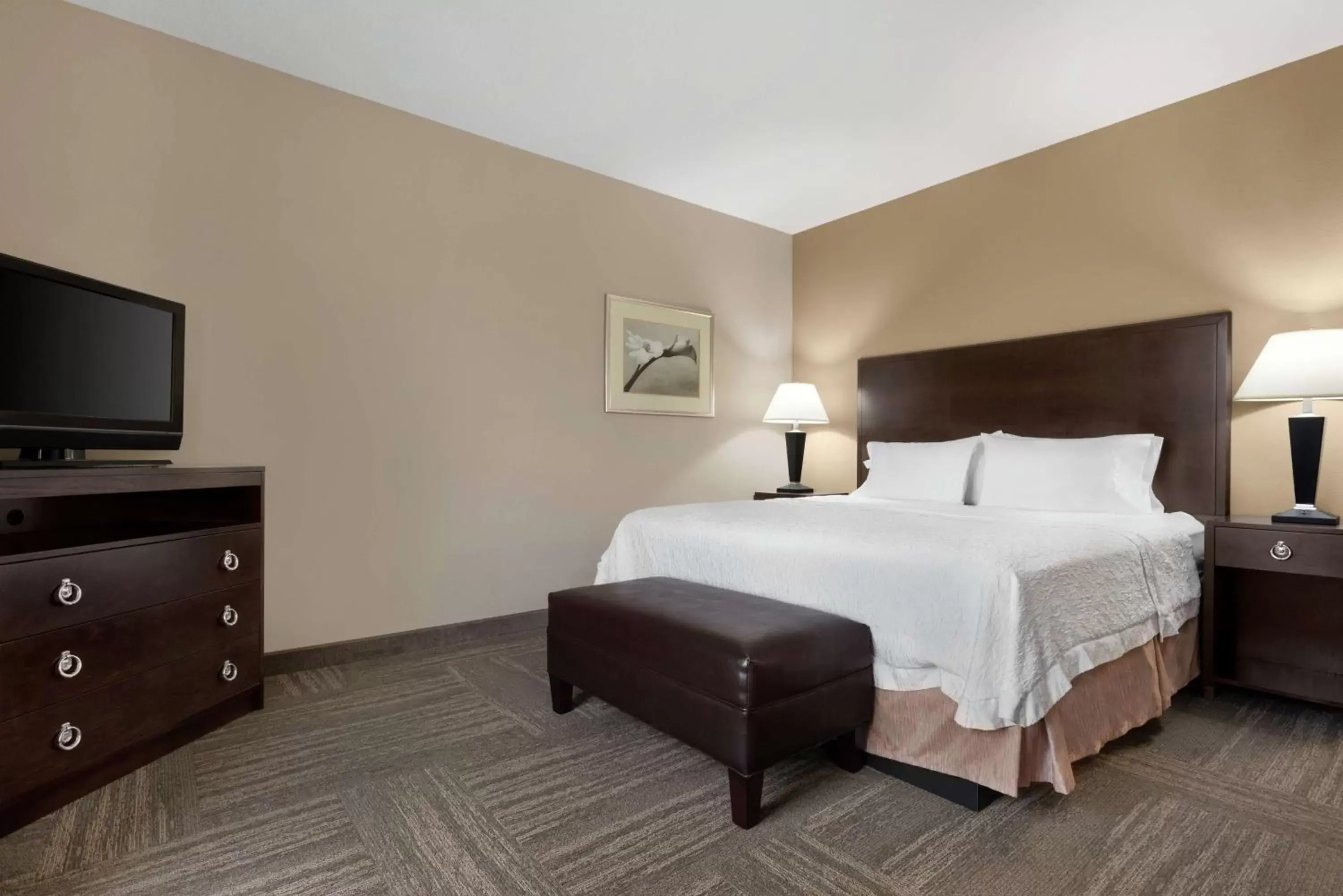 Bedroom, Bed in Hampton Inn & Suites Brunswick