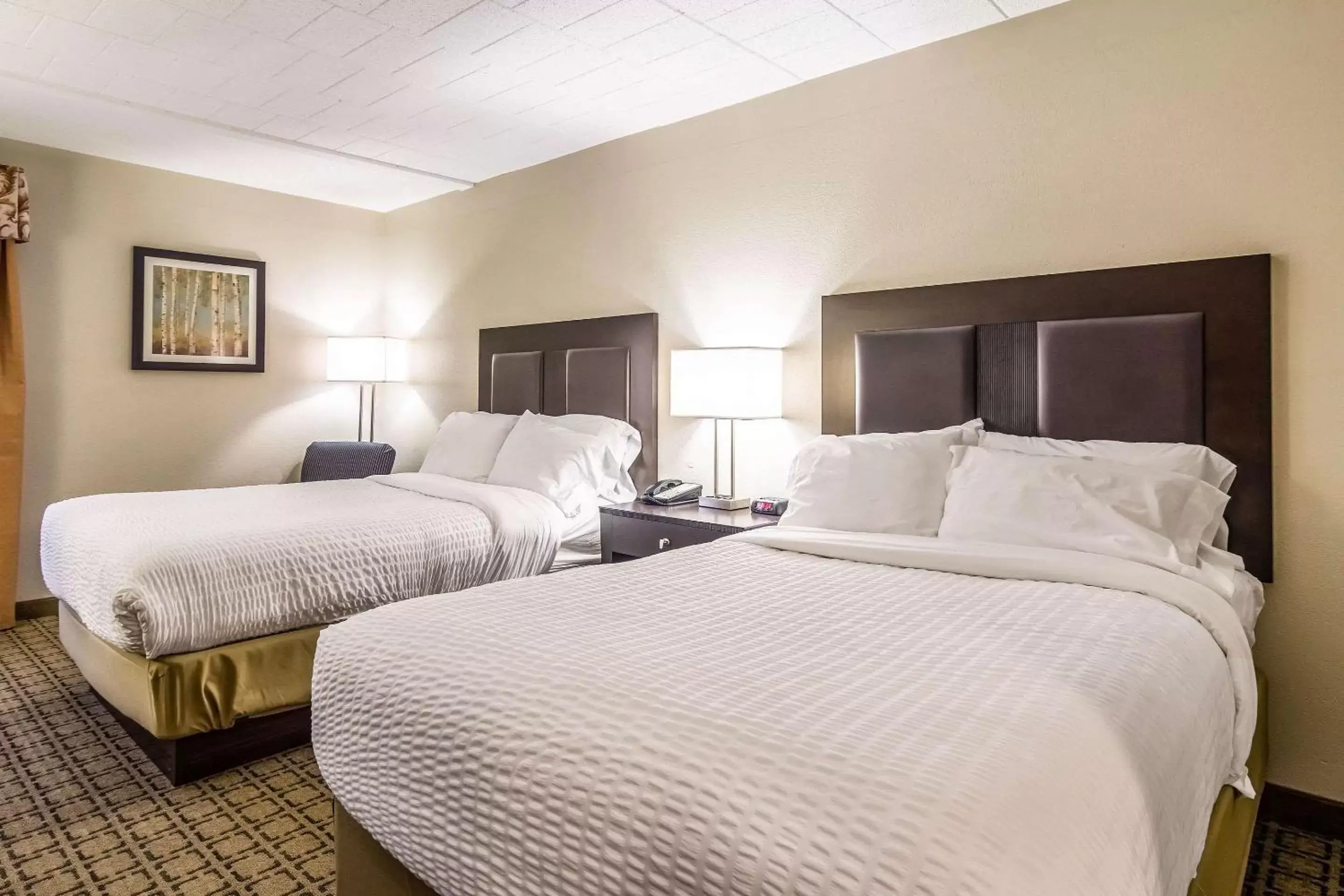 Photo of the whole room, Bed in Clarion Inn Pittsburgh Cranberry