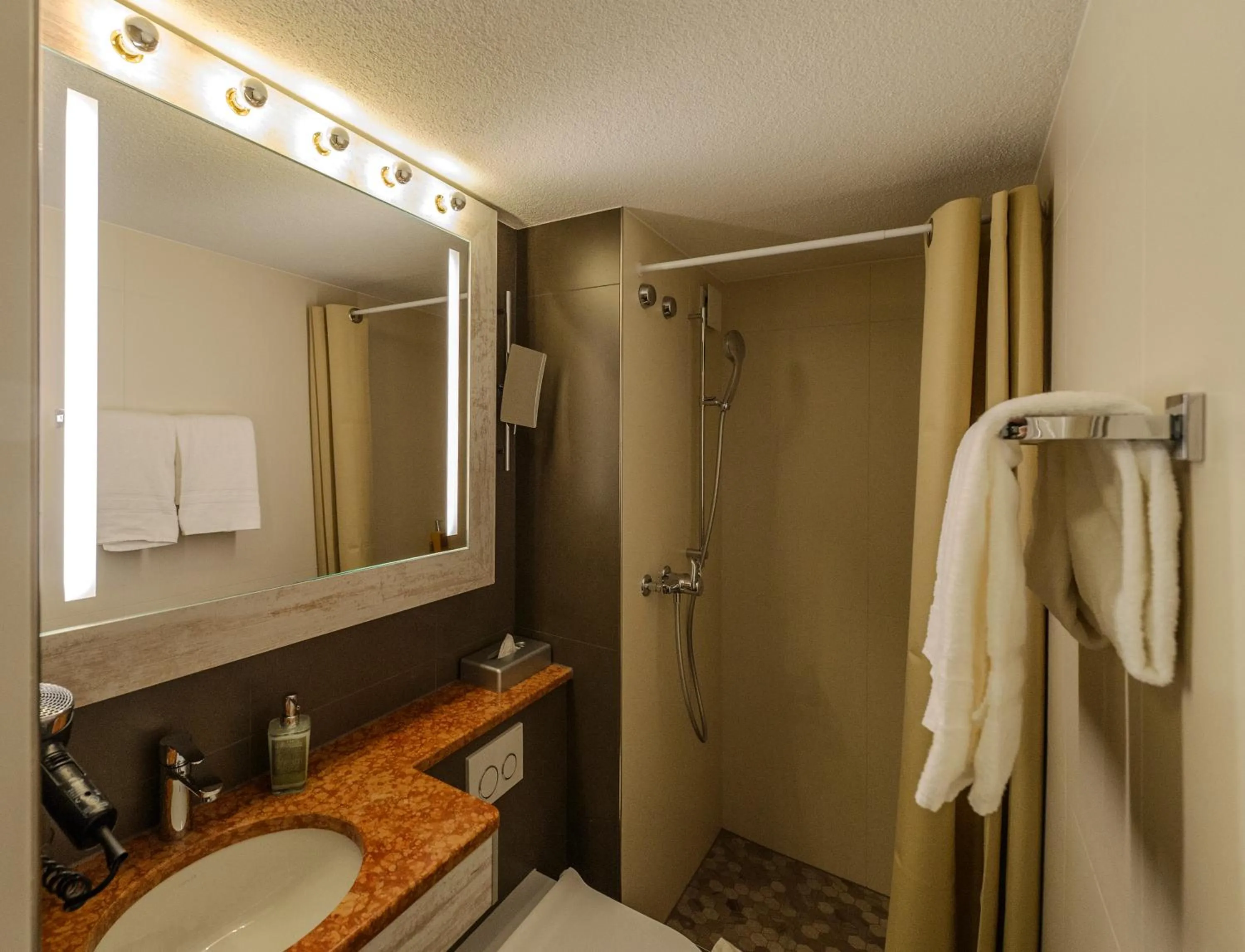 Photo of the whole room in Alexander Guesthouse Zurich Old Town