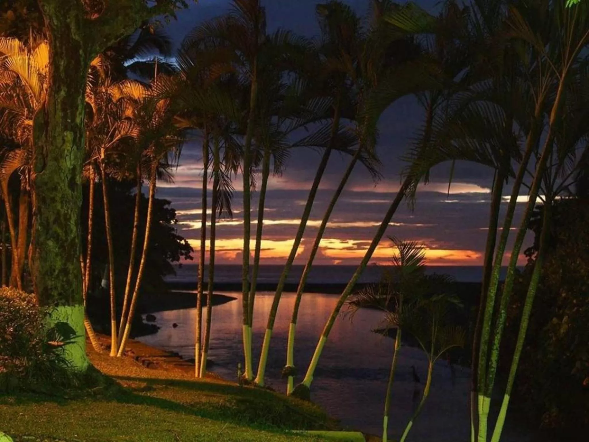 Natural landscape in Beach Break Resort