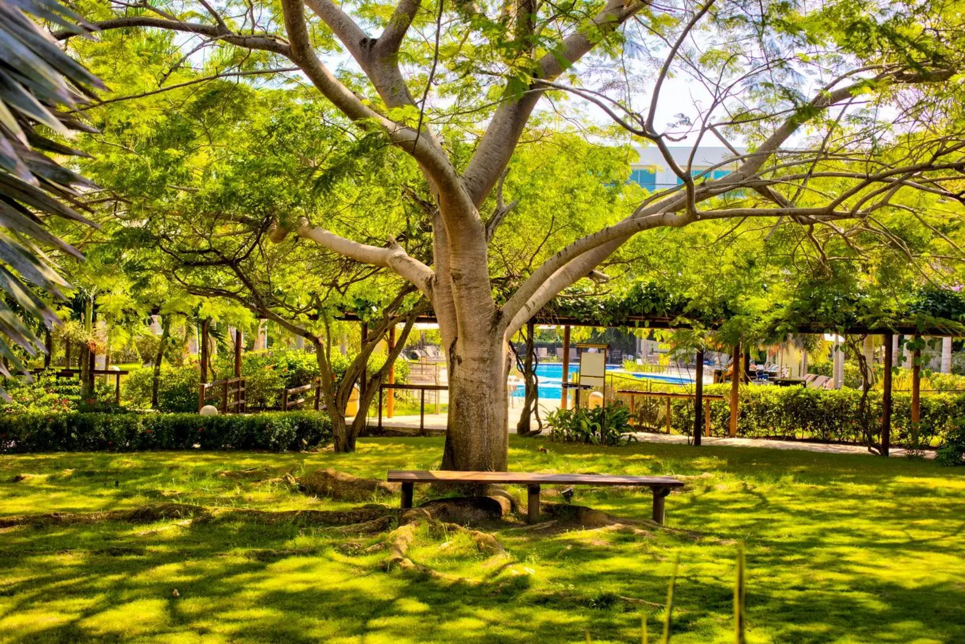 Garden in Estelar Playa Manzanillo - All inclusive