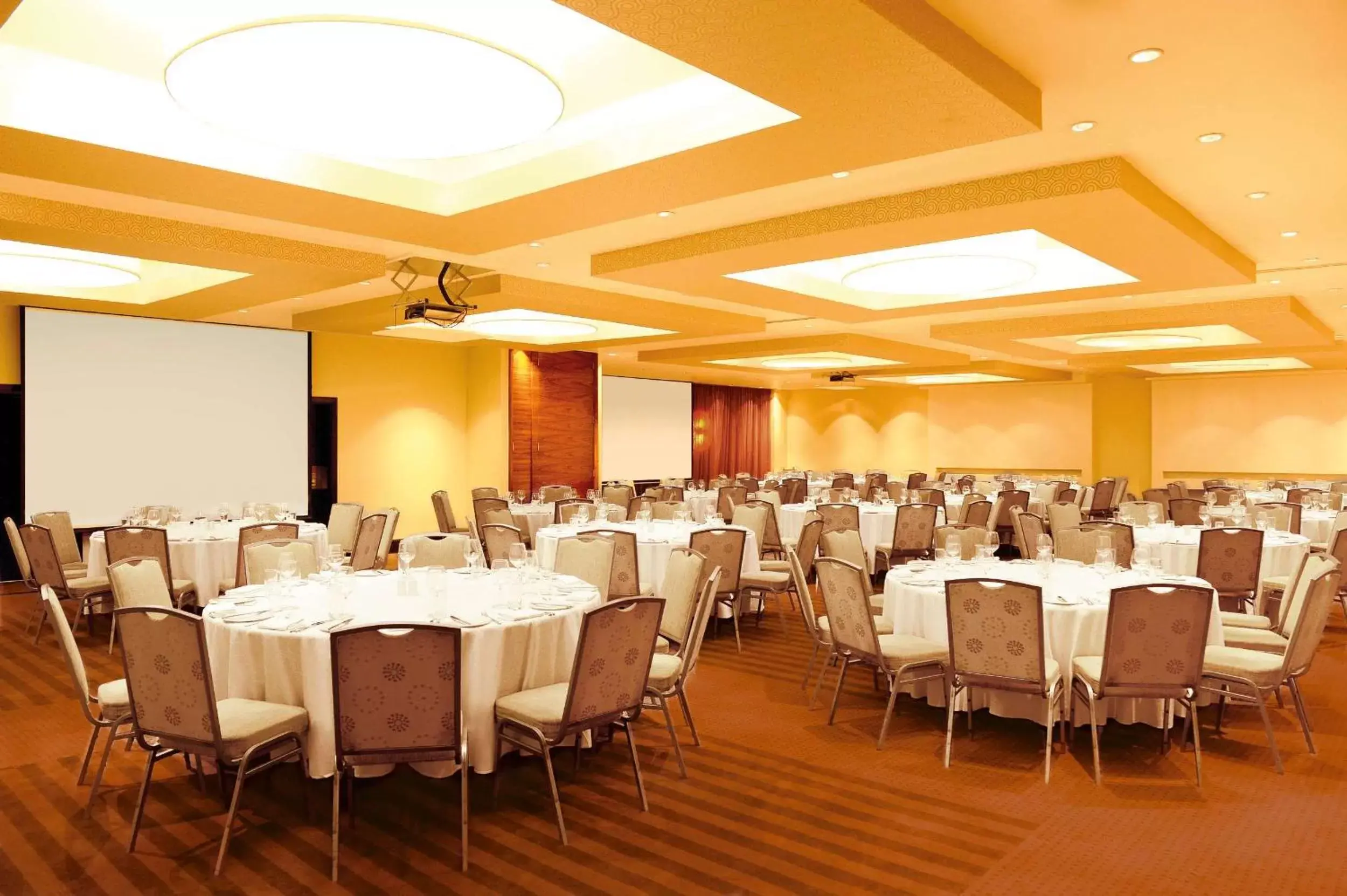 Meeting/conference room, Banquet Facilities in Southern Sun Rosebank