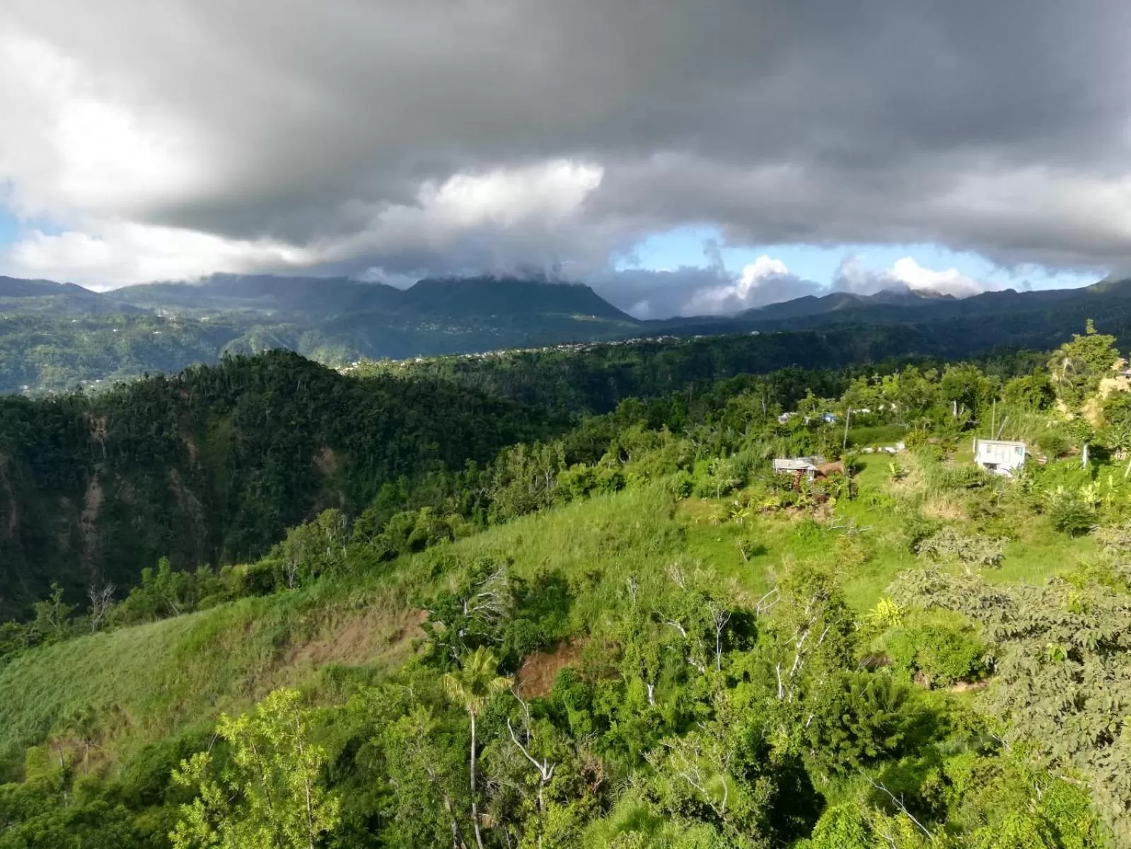 Other, Natural Landscape in Matthew's Miracle View