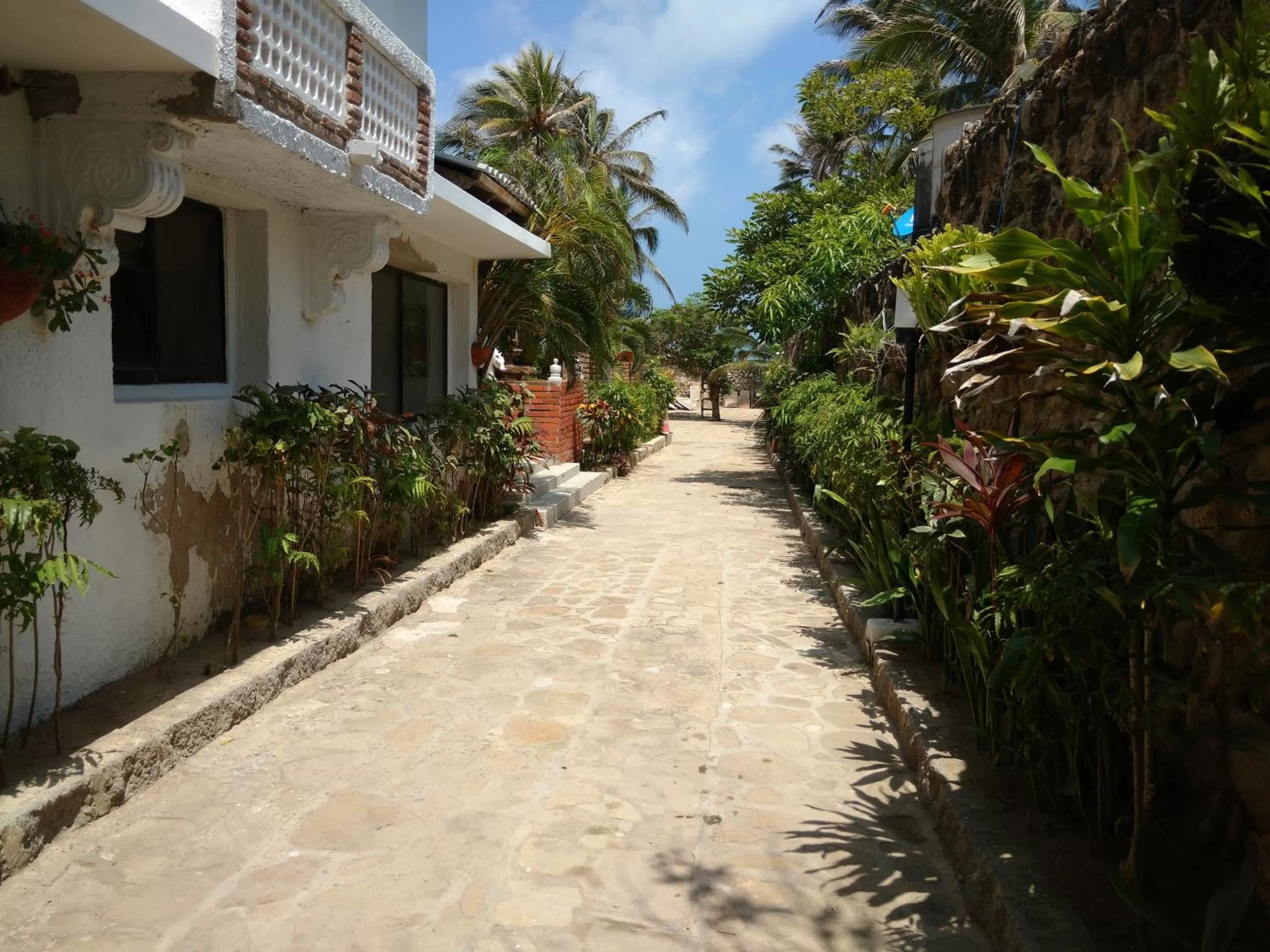Garden view in Hotel Boutique Casa Berastegui