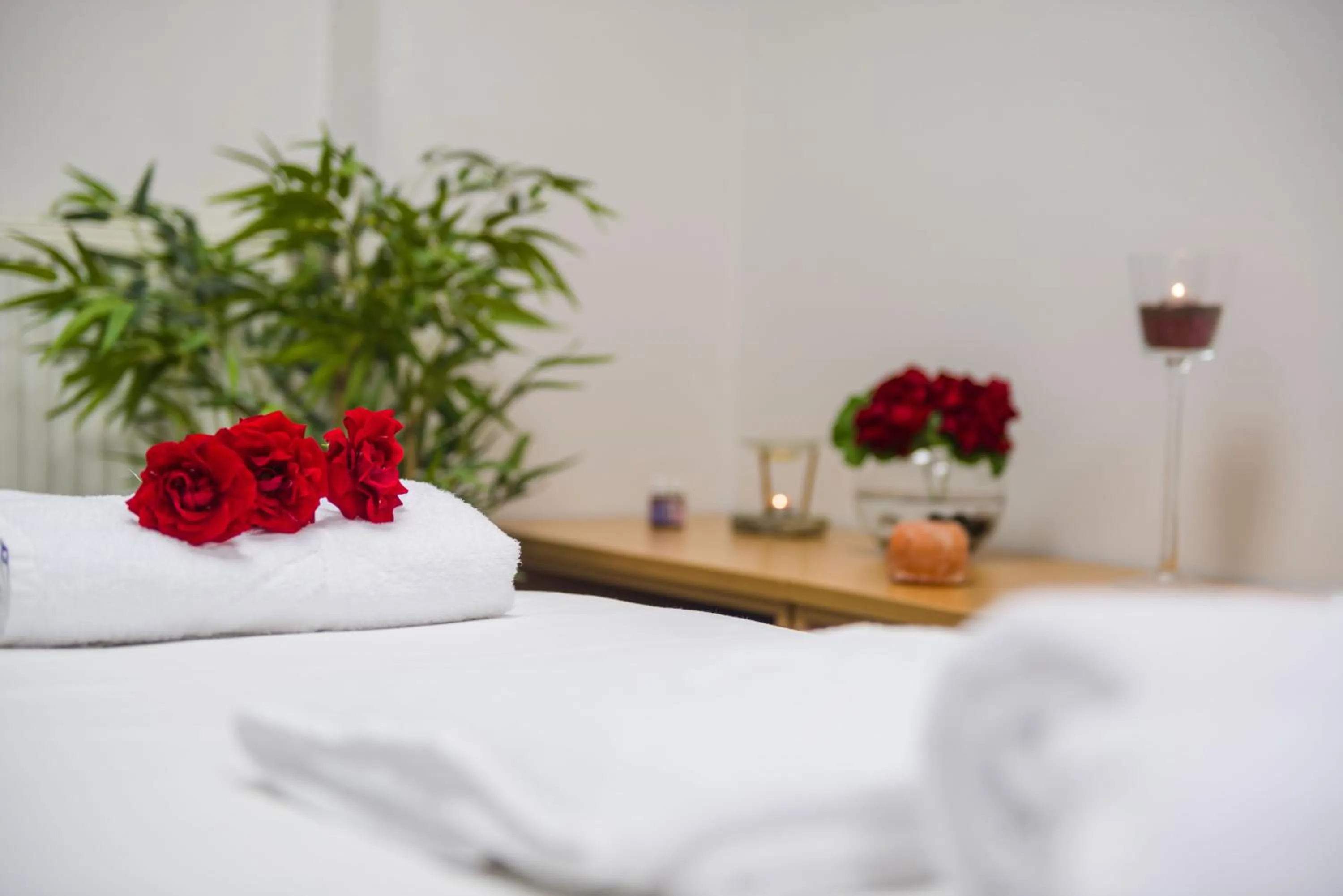 Massage, Bed in Ribno Alpine Hotel