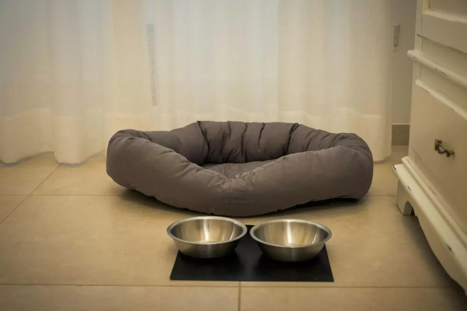 Pets, Seating Area in Amatè Suite