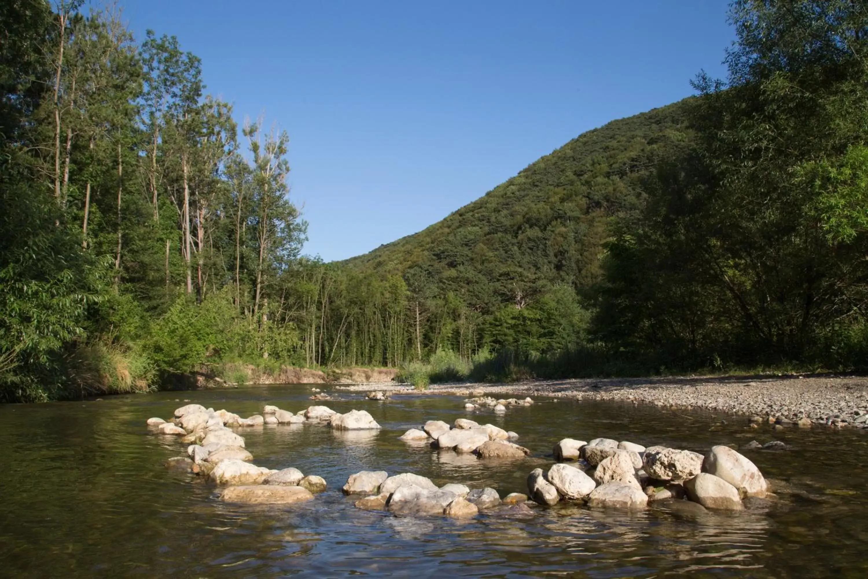 Natural landscape in Hotel Sacher Baden