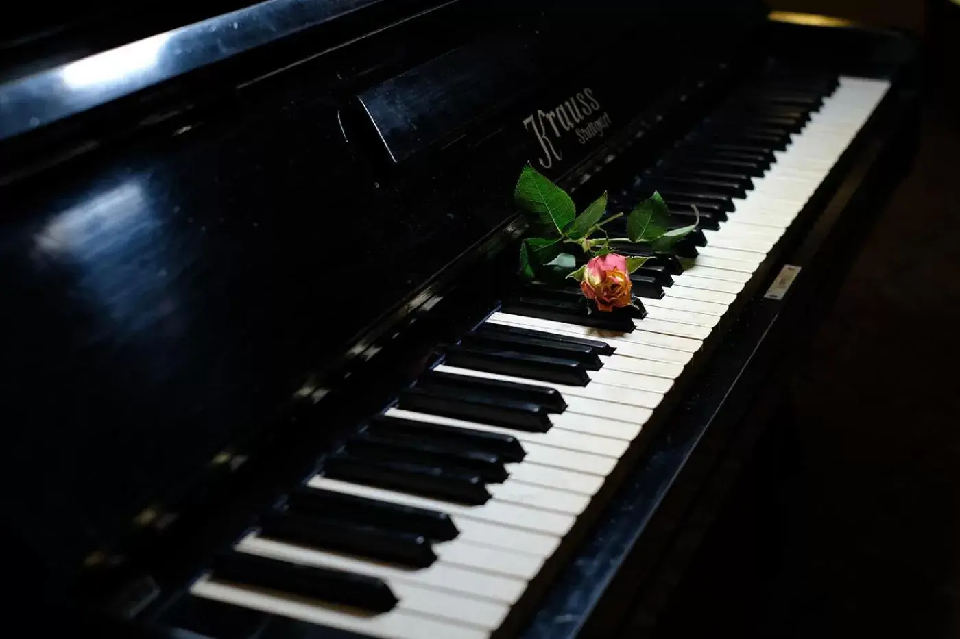 Lounge or bar in Hotel Orologio Lounge or bar in Hotel Orologio