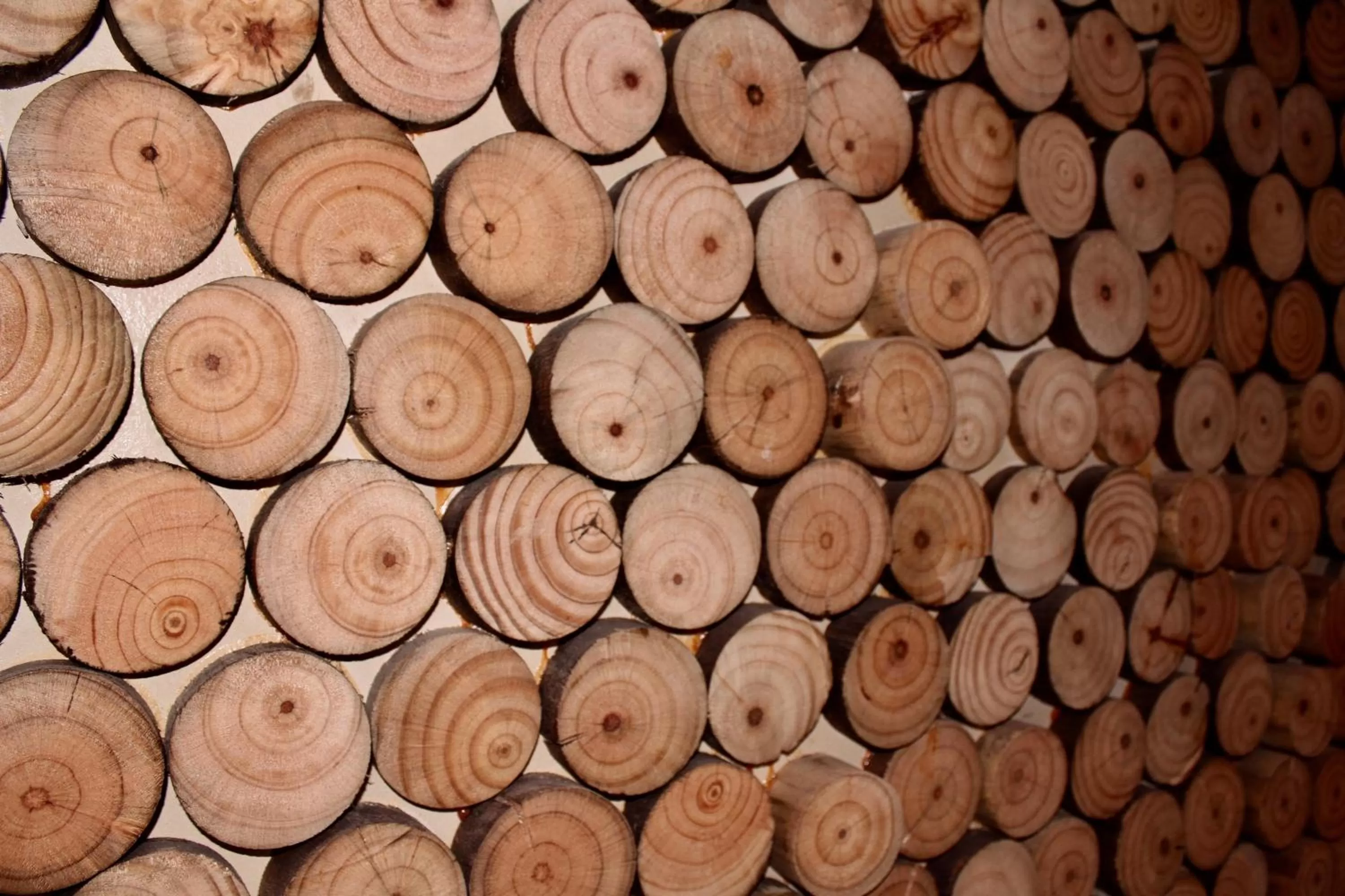 Food in Hotel Manada del Desierto