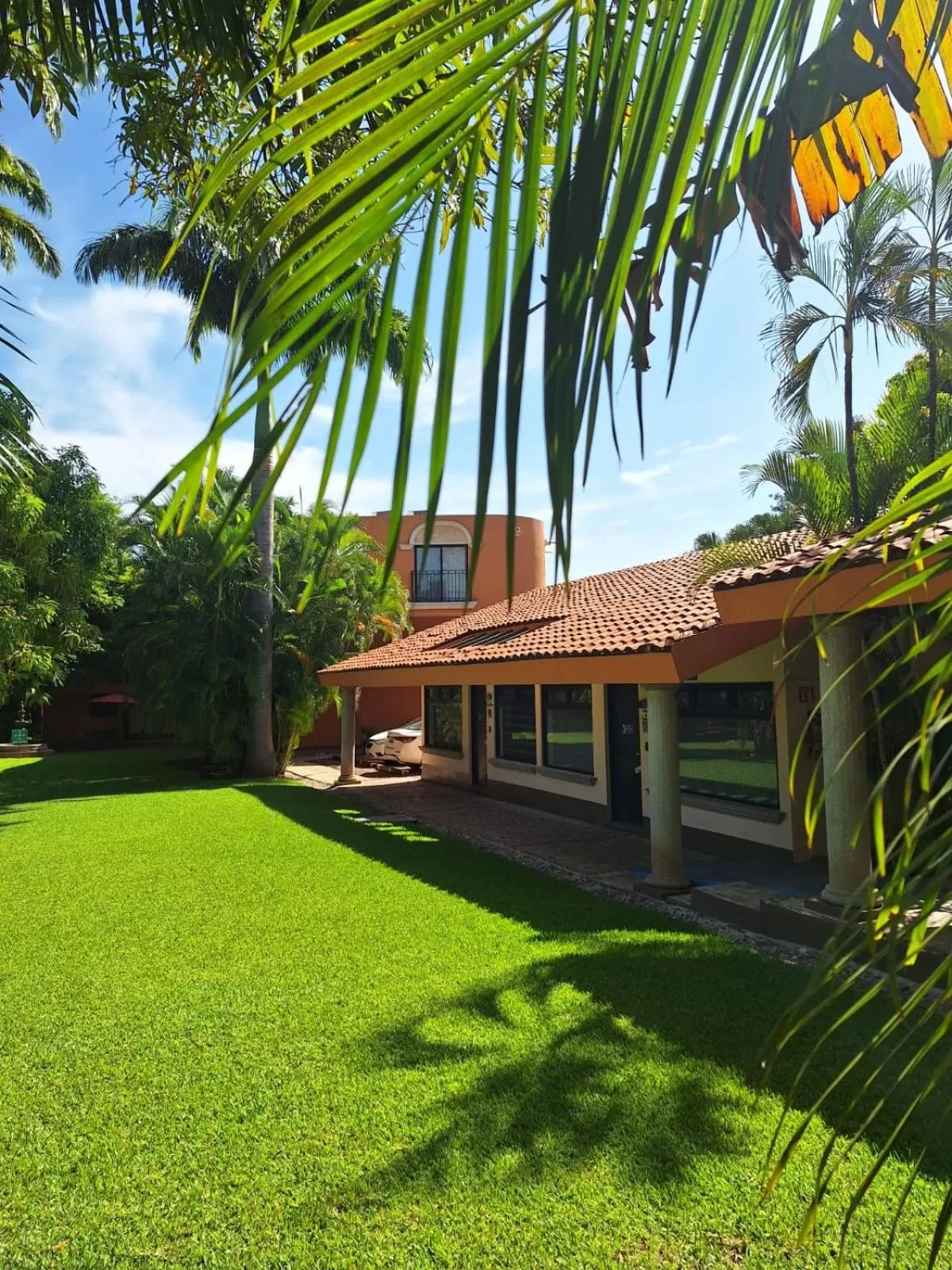 Spring in Hotel Palmareca