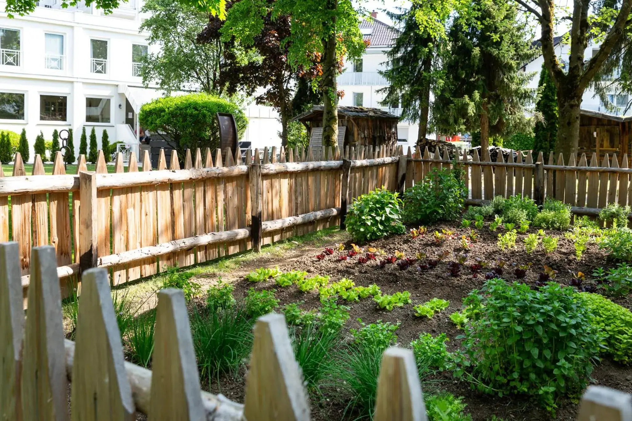 Garden in Das Parkhotel