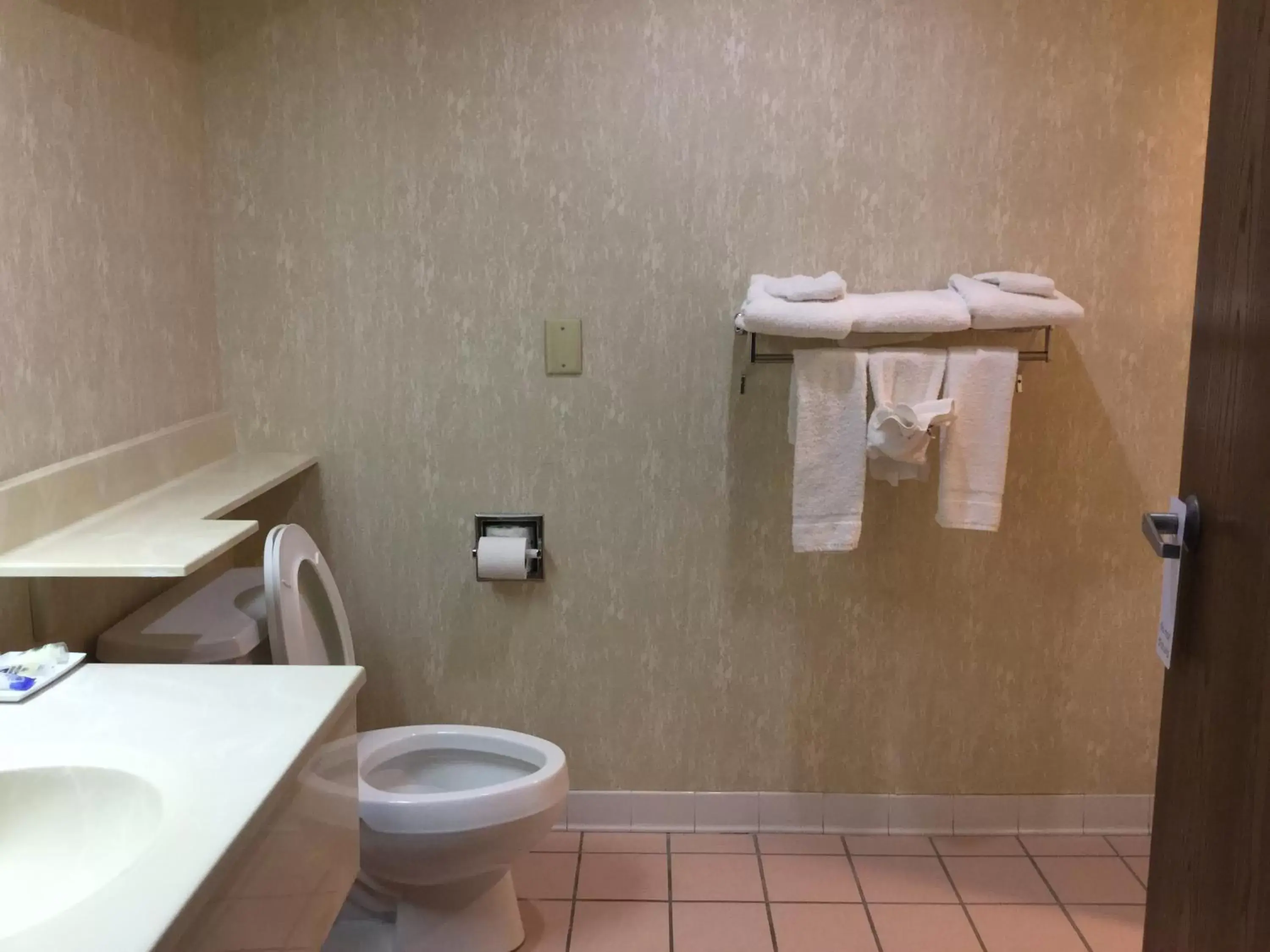 Bathroom in Americas Best Value Inn and Suites Saint Charles