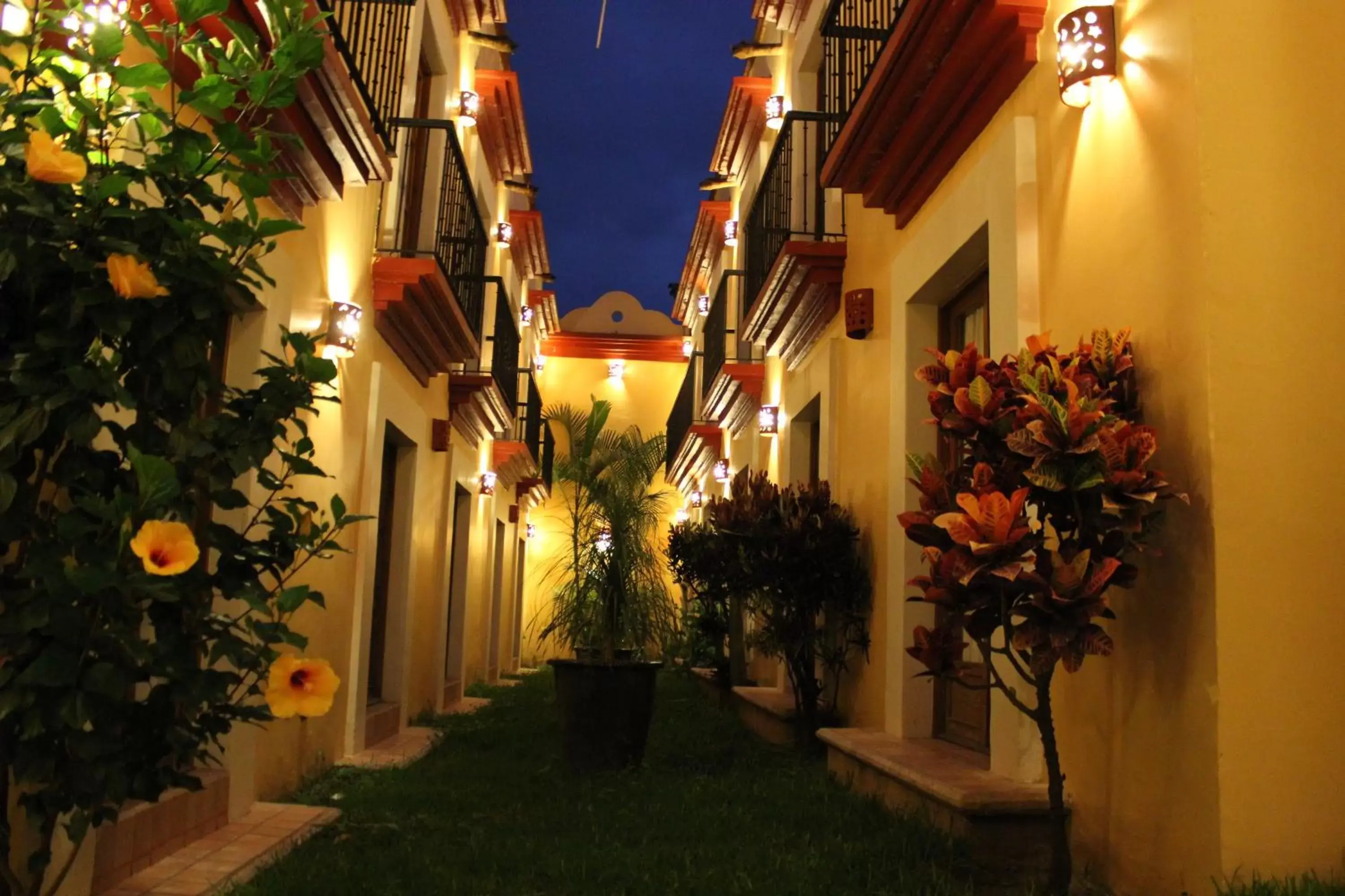 Garden, Property Building in Hotel Casa Conzatti