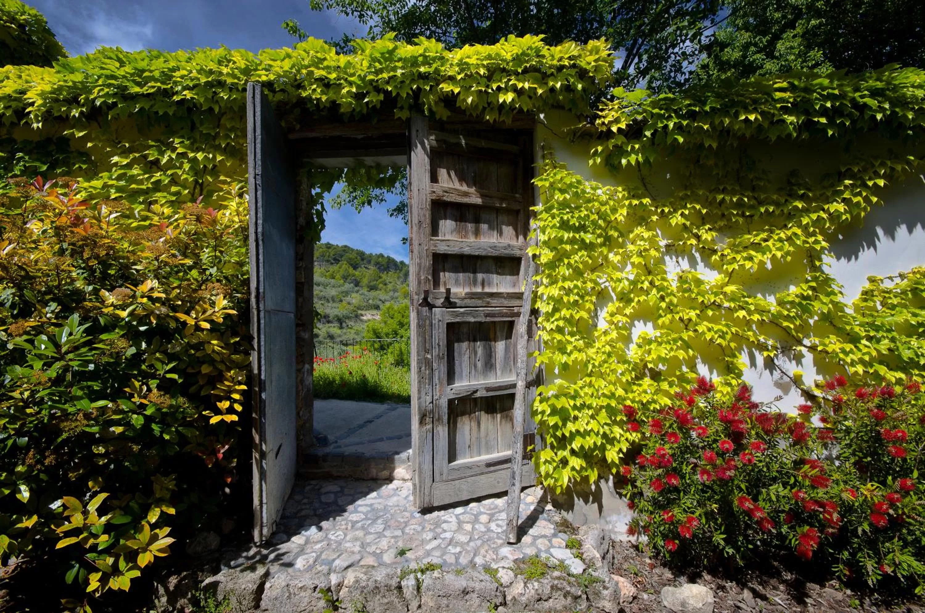 Natural landscape in Eco Hotel con encanto Masía la Mota B&B